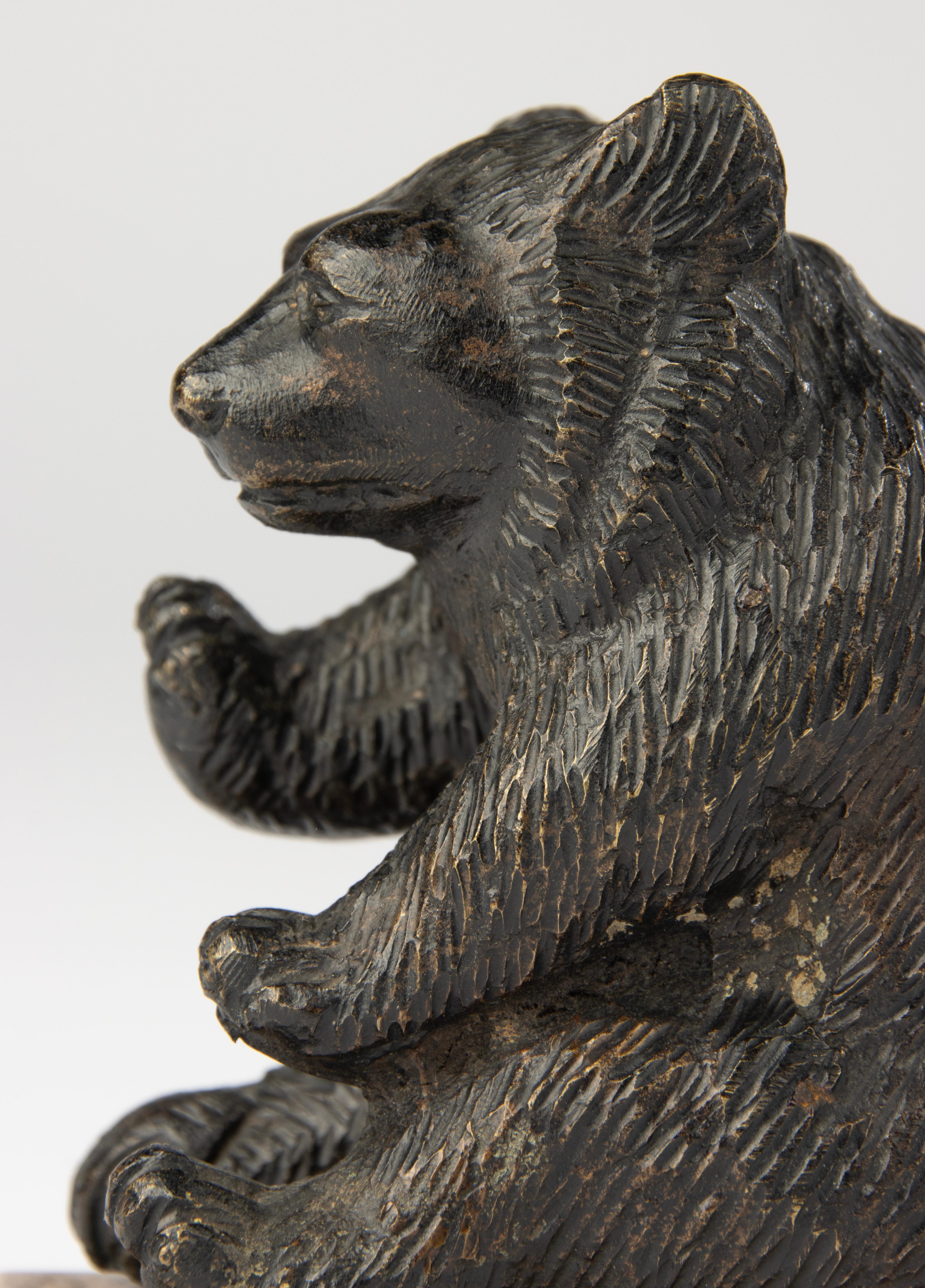 Scultura di fine Ottocento di un orso seduto - Bronzo di Black Forest in vendita 2