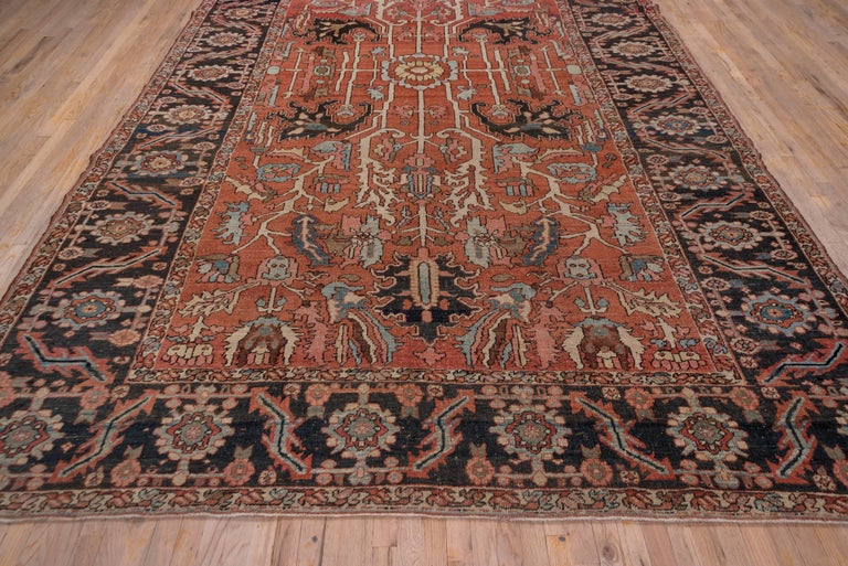 Small Serapi Rug Late 19th Century Serapi Rug For Sale at 1stDibs