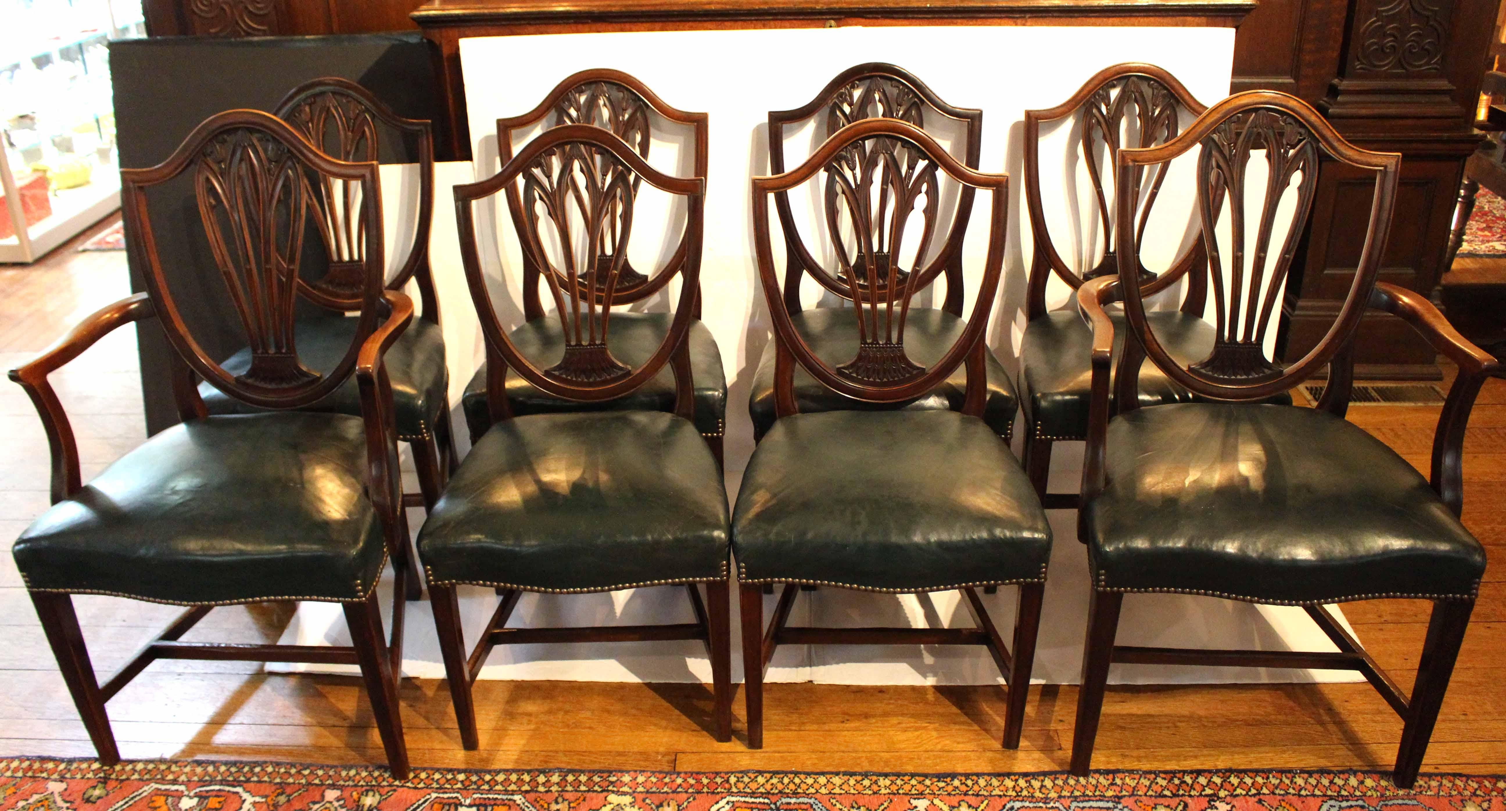 Late 19th century set of 8 Sheraton style dining chairs, English. 2 arms & 6 sides. Well carved acanthus & molded & stop fluted shield backs. Leather upholstered seats, now worn but usable condition. Shaped arms. Straight, tapered, molded legs with