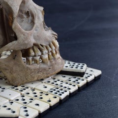 Late 19th Century Set of Ebony and Carved Bone Dominoes