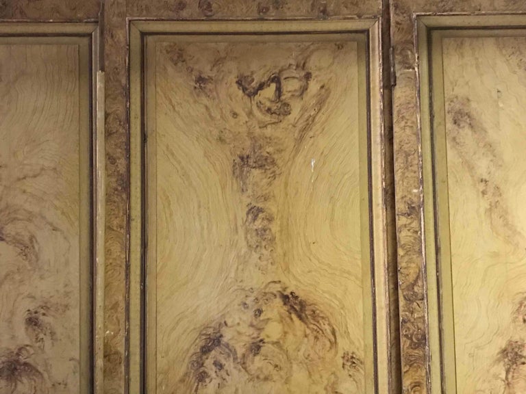 Late 19th Century Set of Four Faux Painted Wood Panels from France For