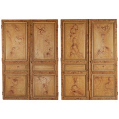 Used Late 19th Century Set of Four Faux Painted Wood Panels from France