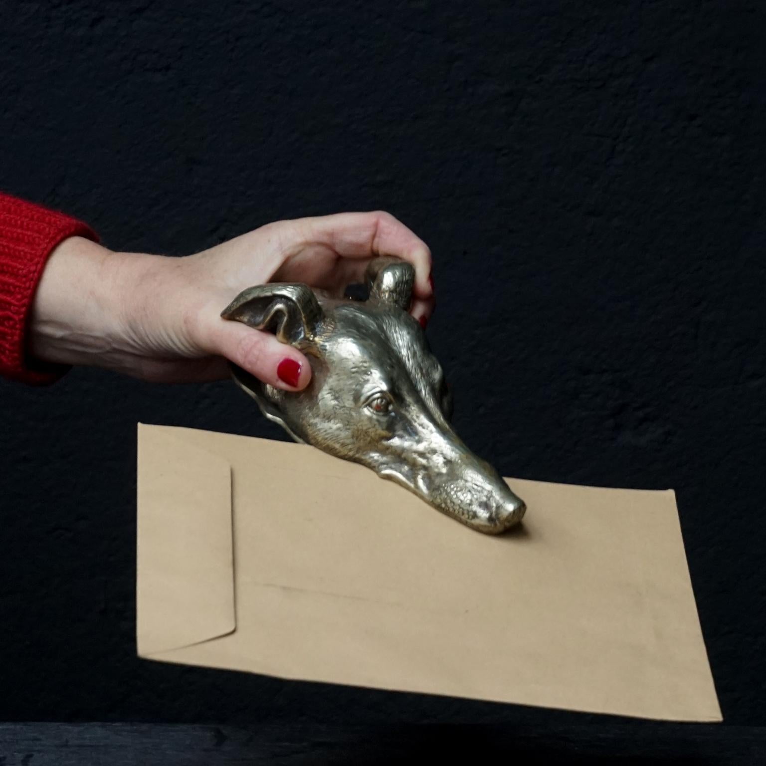 Ende des 19. Jahrhunderts Wiener Bronze Windhund Hundekopf Briefhalter oder Büroklammer 1