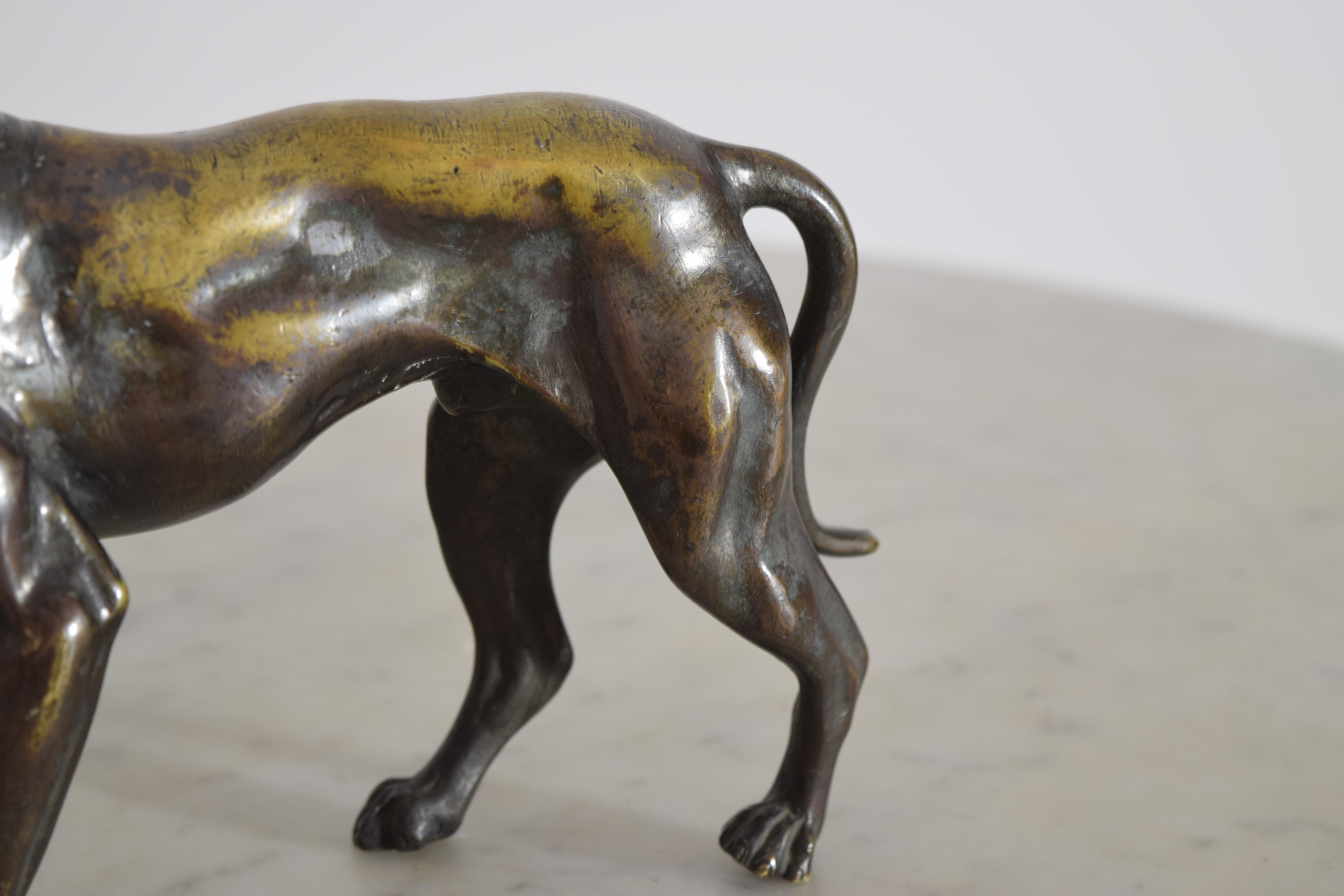 Bronzo Cane da caccia scolpito in bronzo di Vienna della fine del XIX secolo con collare in vendita