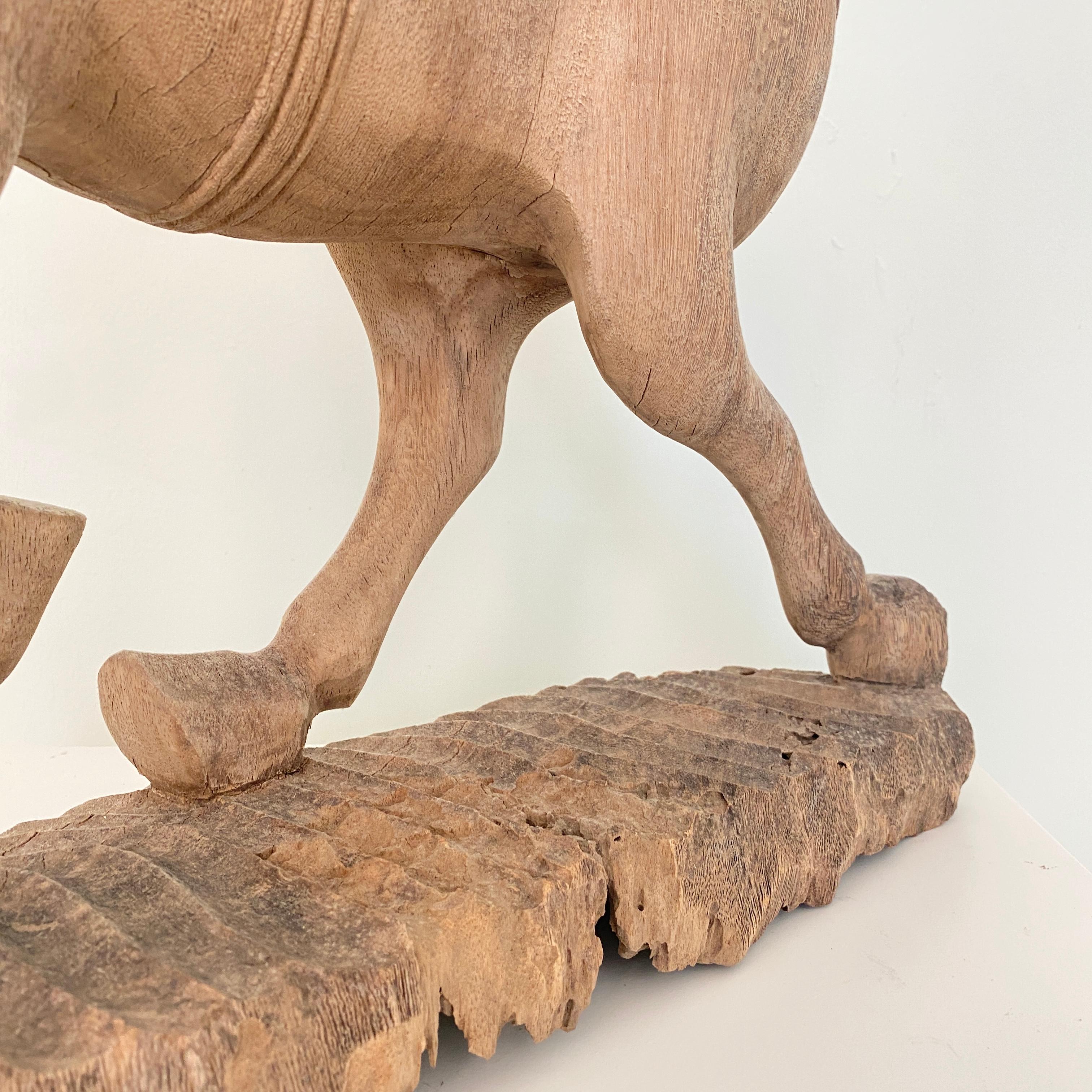 Late 19th Century Wabi Sabi Chinese Carved Wooden Tang Horse, Around 1870 13