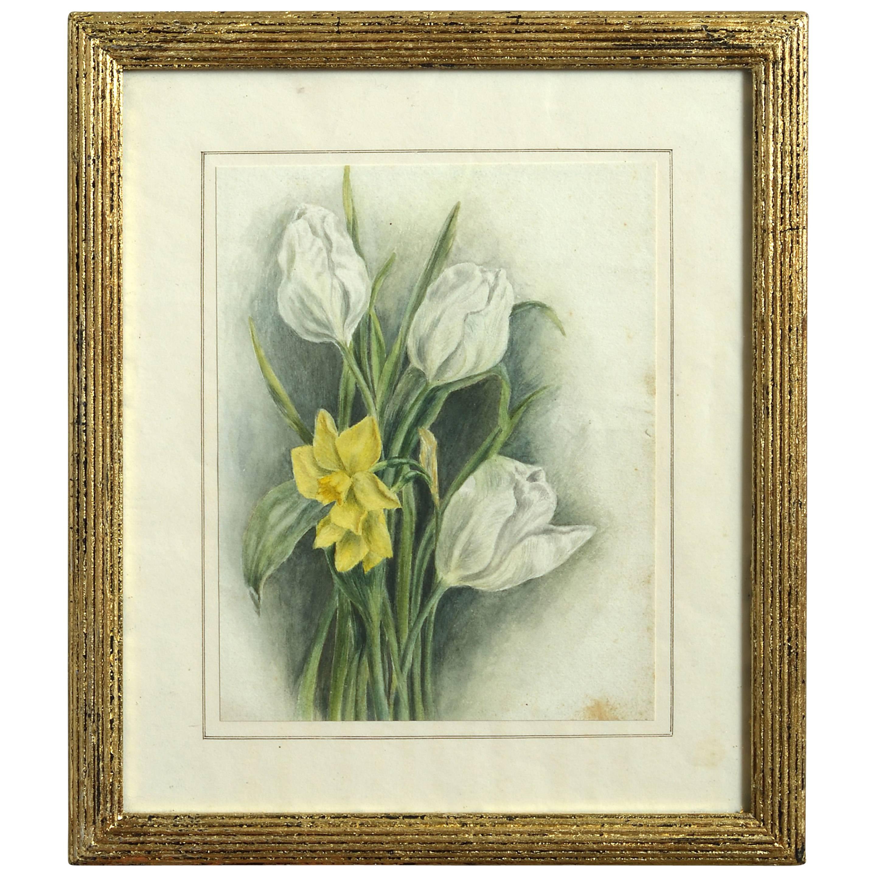 Late 19th Century Watercolor Study of a Daffodil and Tulipos