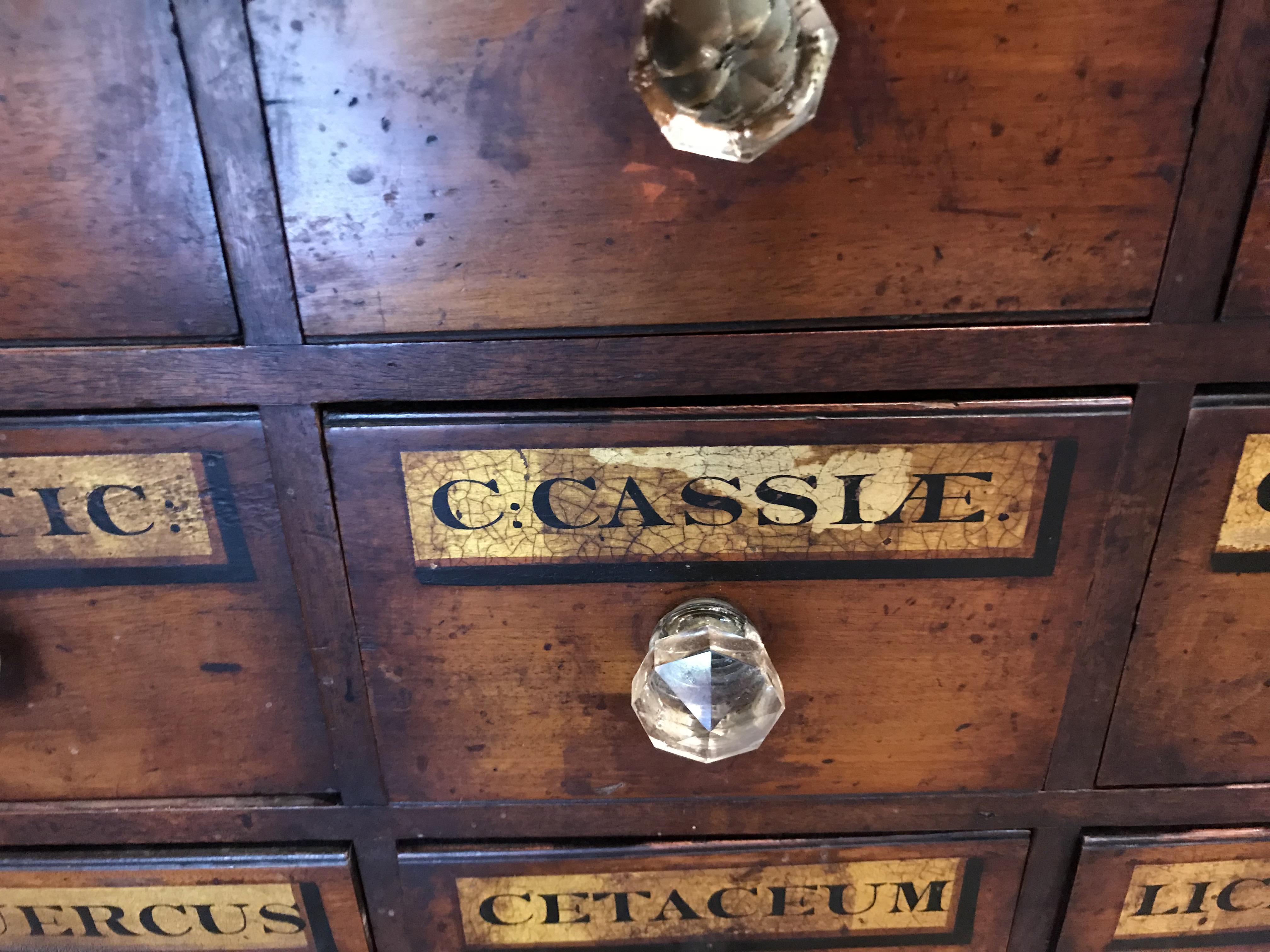 Late 19th Century Wooden 32-Drawer Chemist Apothecary Chest 3