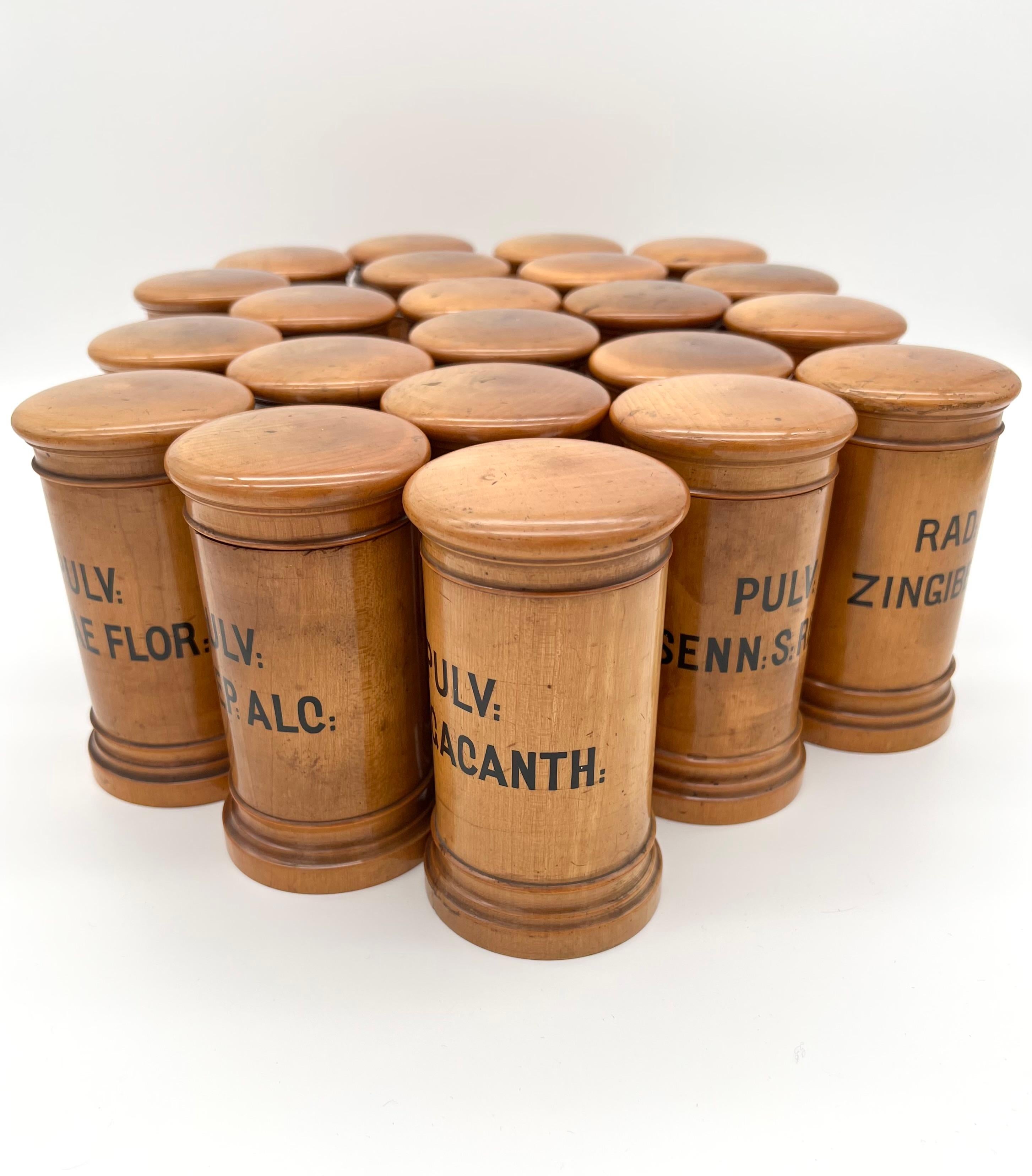 Wiener Apothekengefäße aus Holz des späten 19. Jahrhunderts im Set von 22 Pieces (Buchsbaumholz) im Angebot
