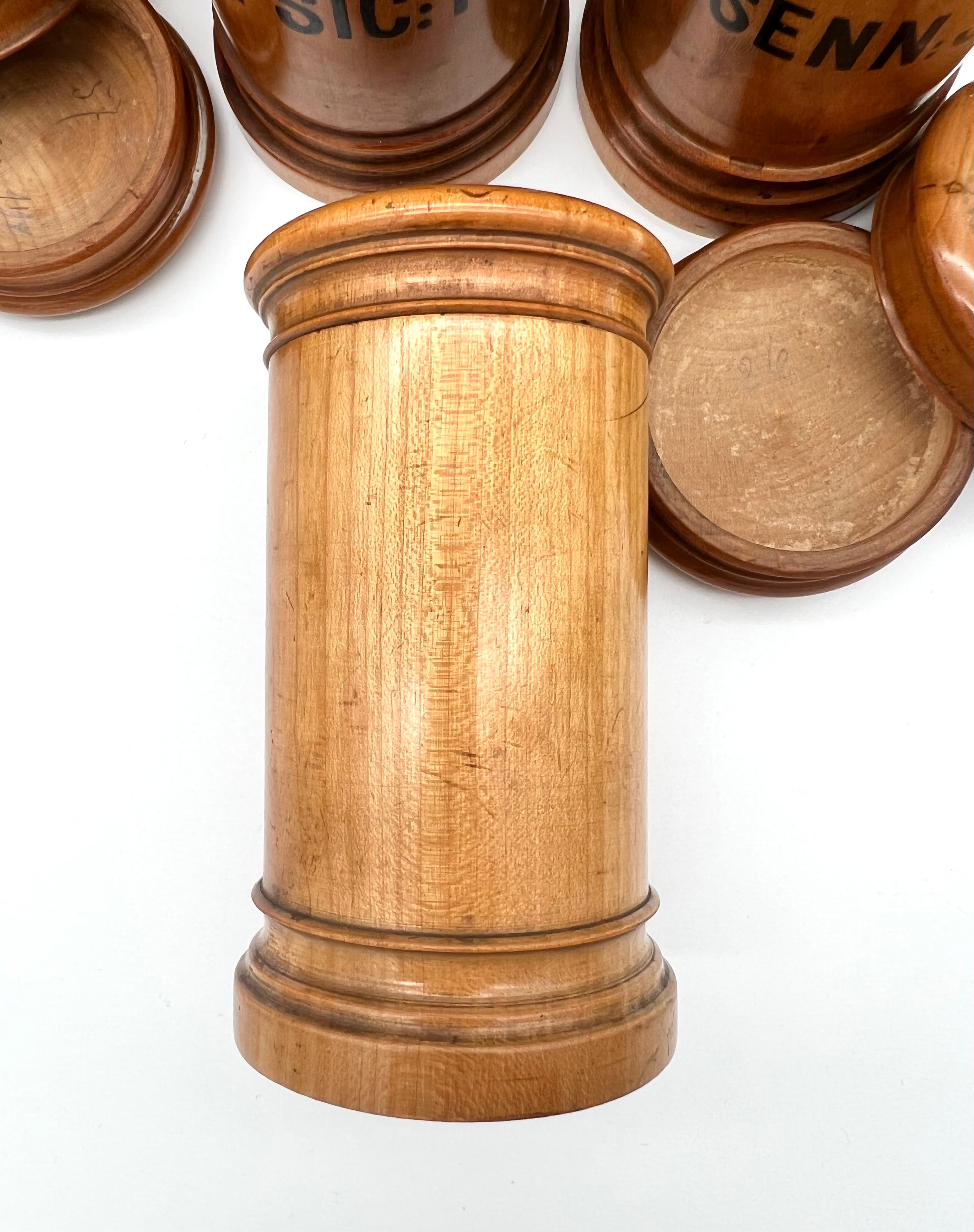Late 19th Century Wooden Viennese Pharmacy Containers in the Set of 22 Pieces In Good Condition For Sale In Vienna, AT