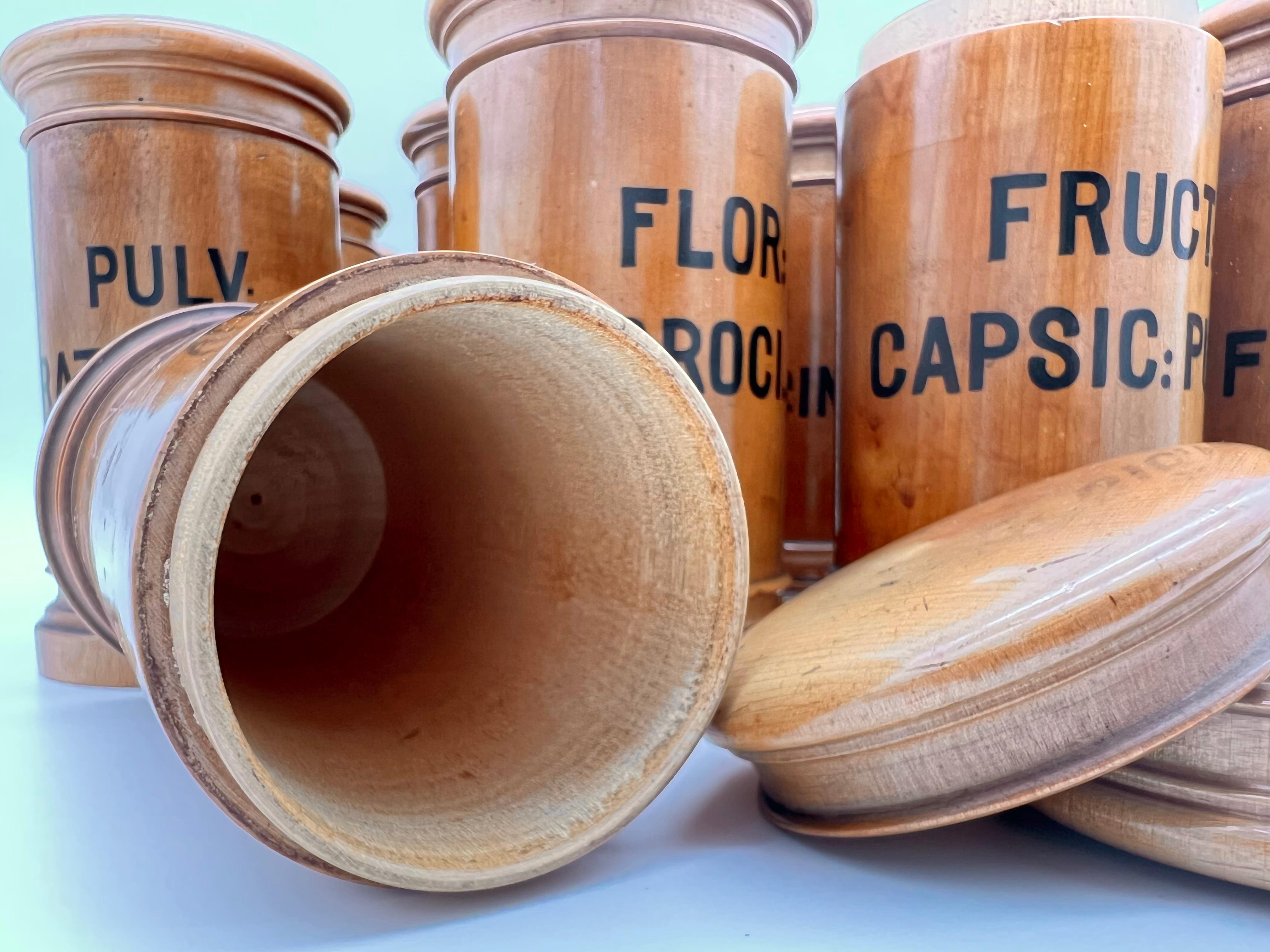 Boxwood Late 19th Century Wooden Viennese Pharmacy Containers in the Set of 22 Pieces For Sale