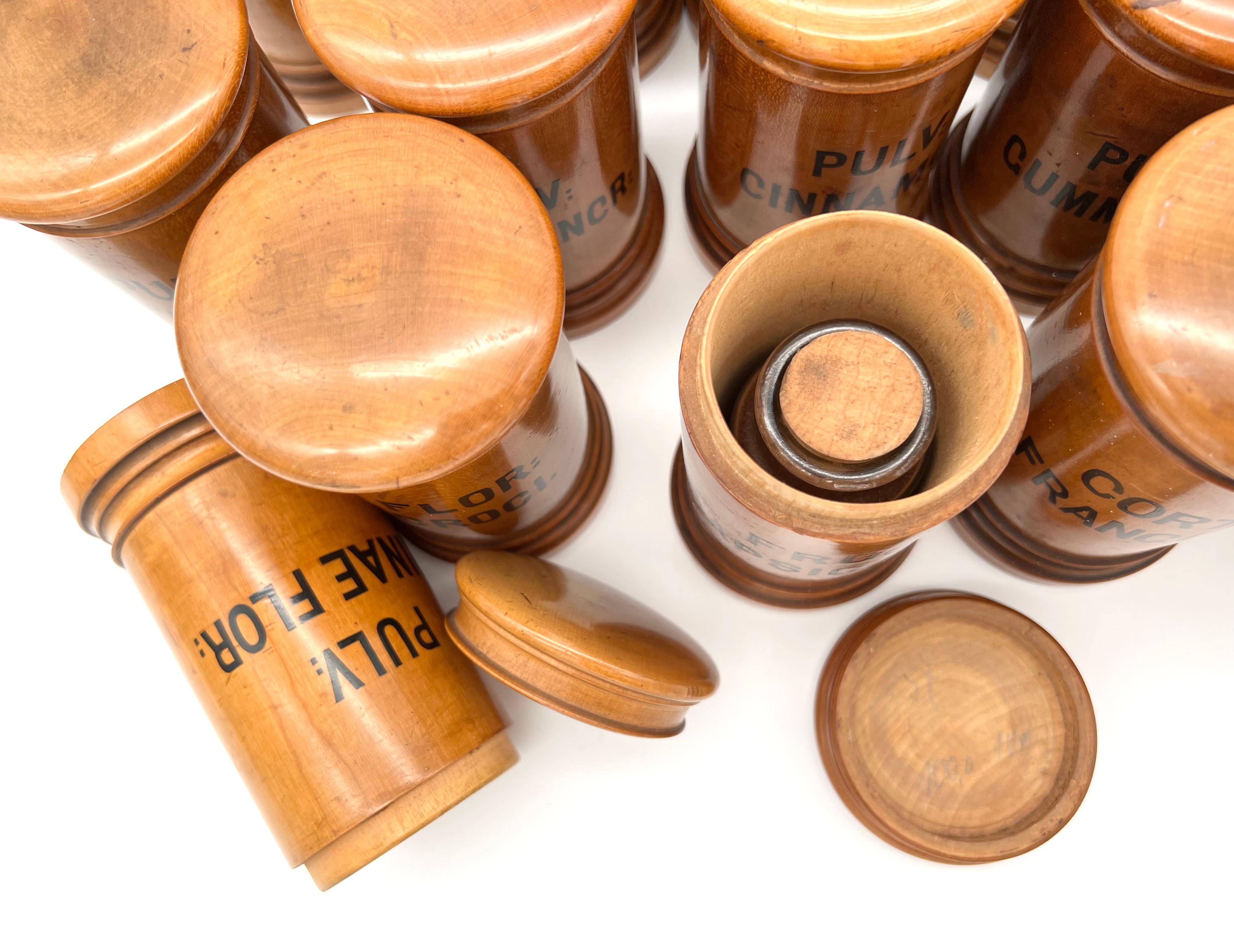 Late 19th Century Wooden Viennese Pharmacy Containers in the Set of 22 Pieces For Sale 1