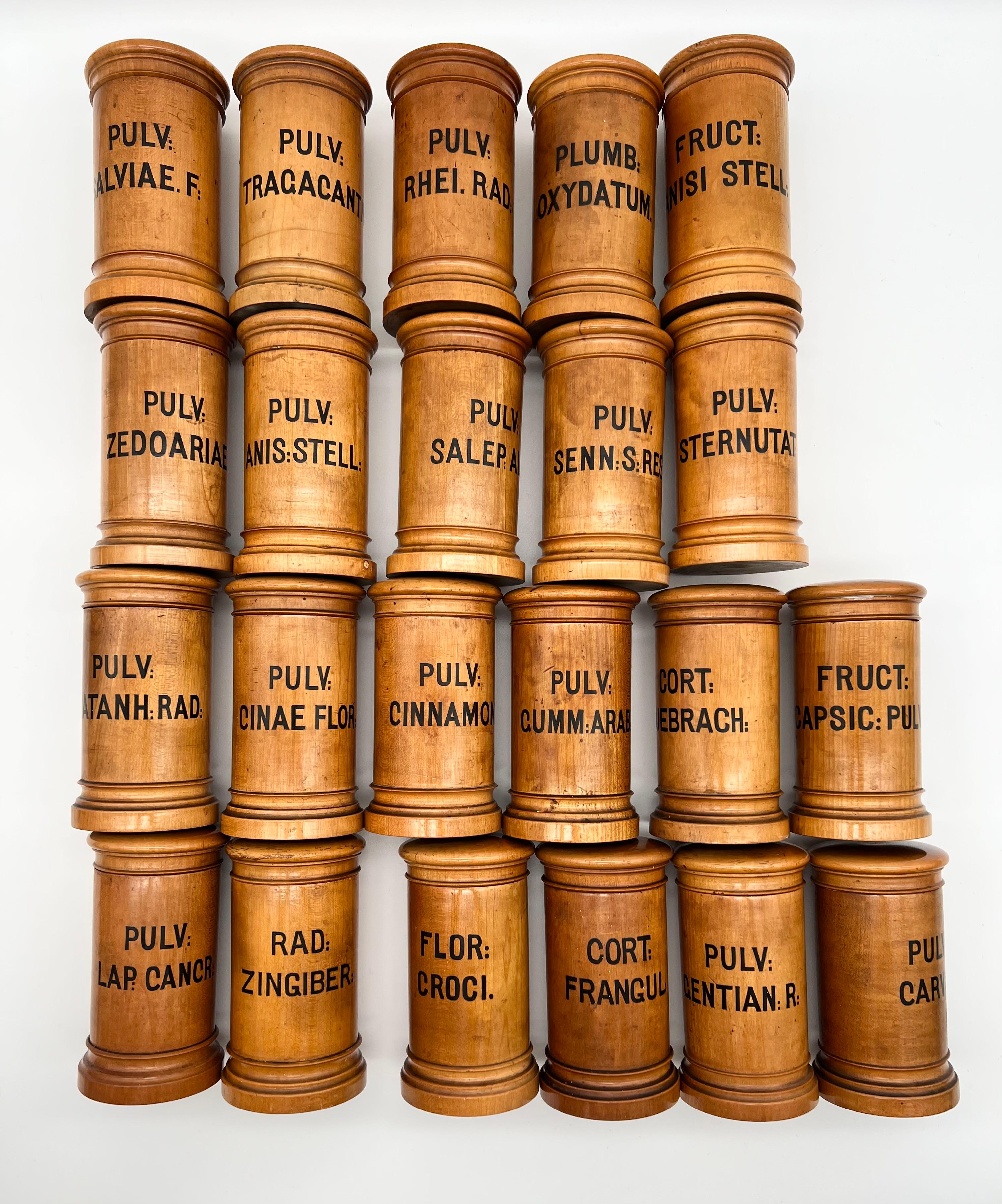 Late 19th Century Wooden Viennese Pharmacy Containers in the Set of 22 Pieces For Sale 3