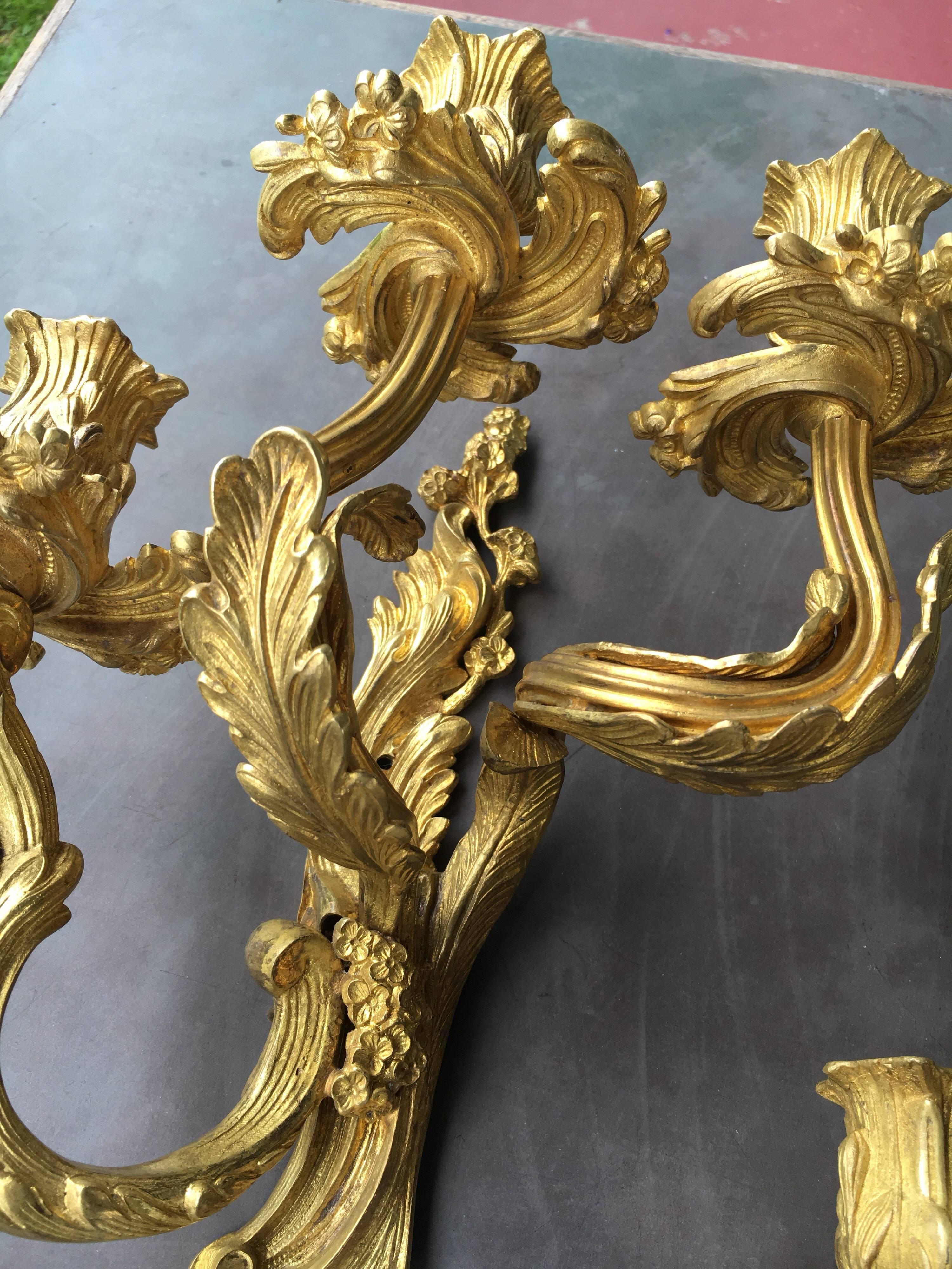 A very fine pair of Louis XV style gilt bronze sconces from France, late 19th or early 20th century. Beautifully cast in the traditional manner with all the sumptuous movement of the Rococo period, each having three arms issuing from the plate and