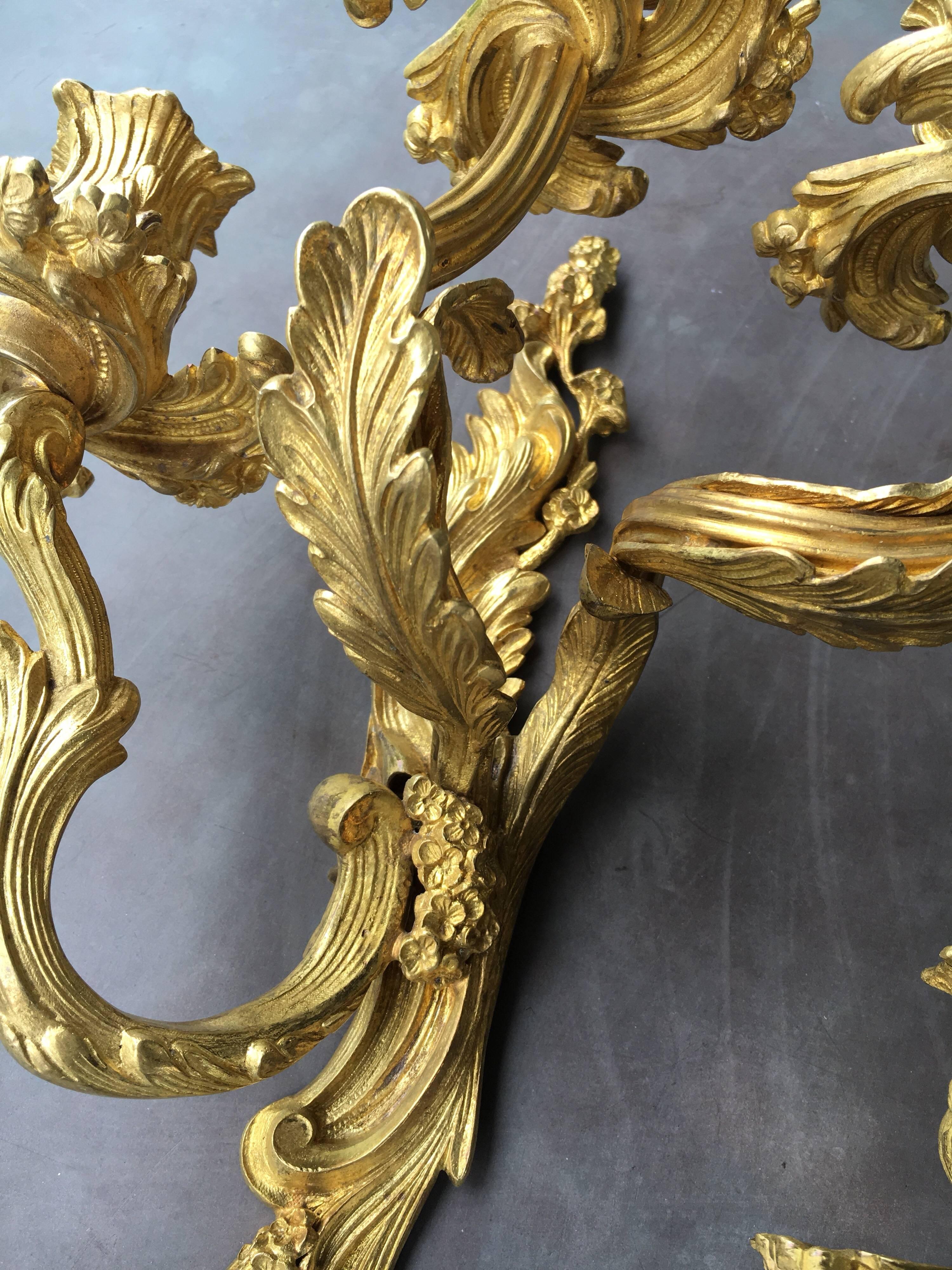 Rococo Late 19th Early 20th Century French Louis XV Style Gilt Bronze Sconces For Sale