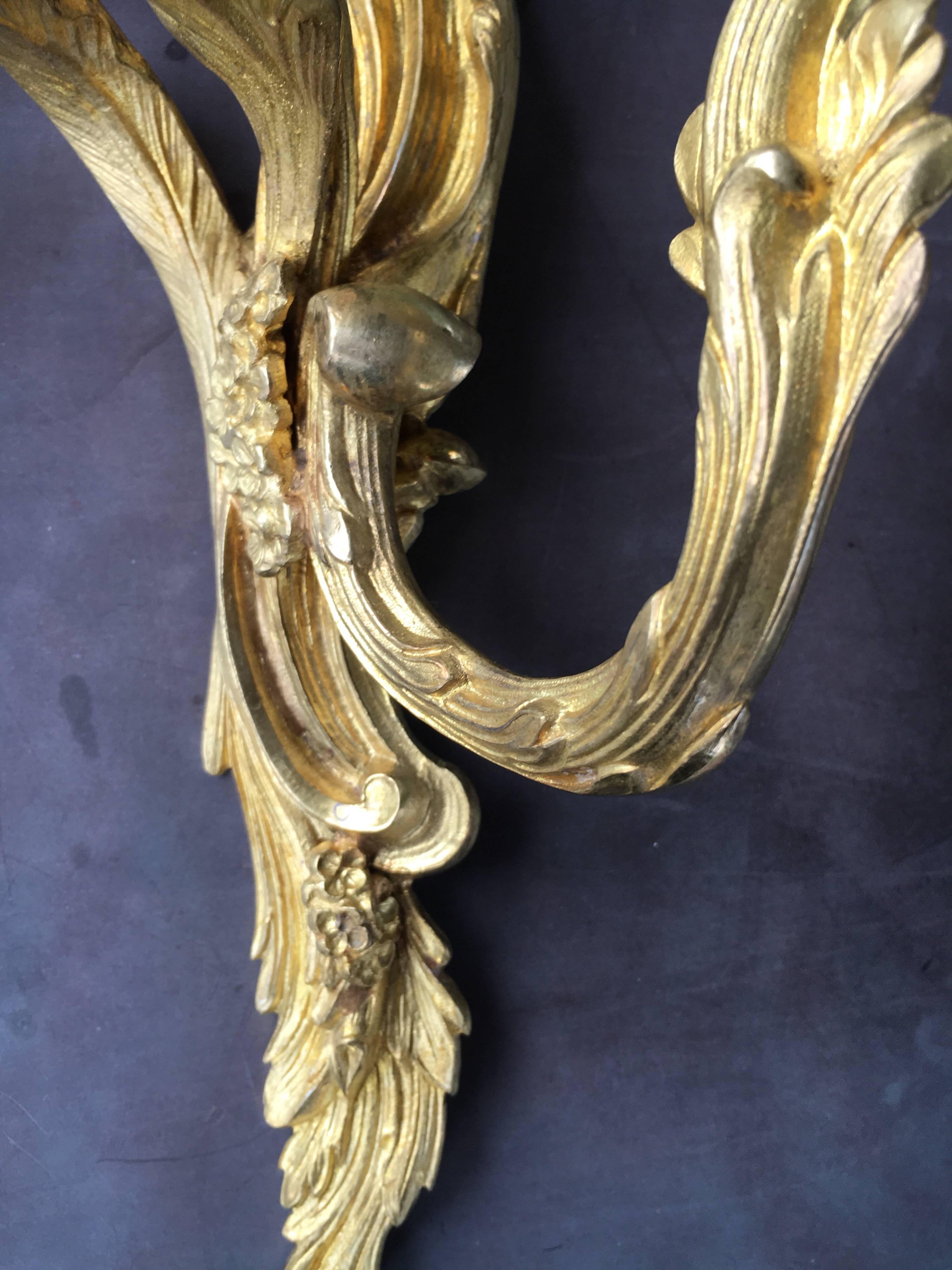 19th Century Late 19th Early 20th Century French Louis XV Style Gilt Bronze Sconces For Sale