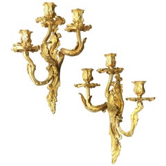 Late 19th Early 20th Century French Louis XV Style Gilt Bronze Sconces