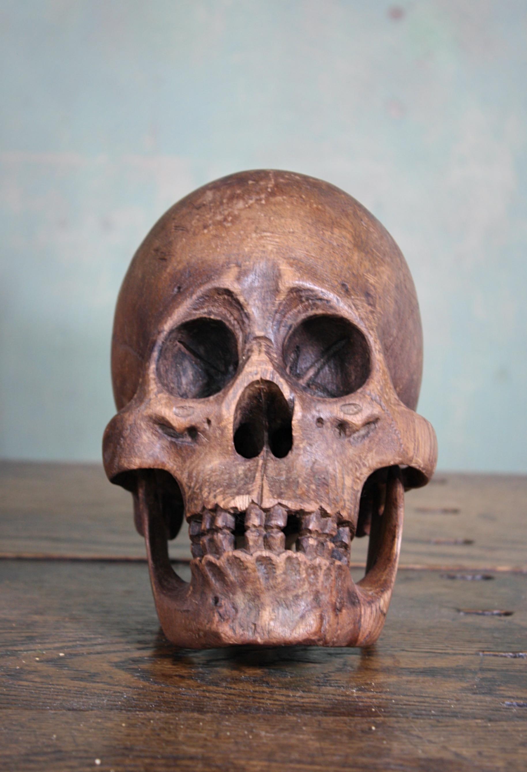 Late 19th-Early 20th Century Life-Size Treen Carved Memento Mori Human Skull 5
