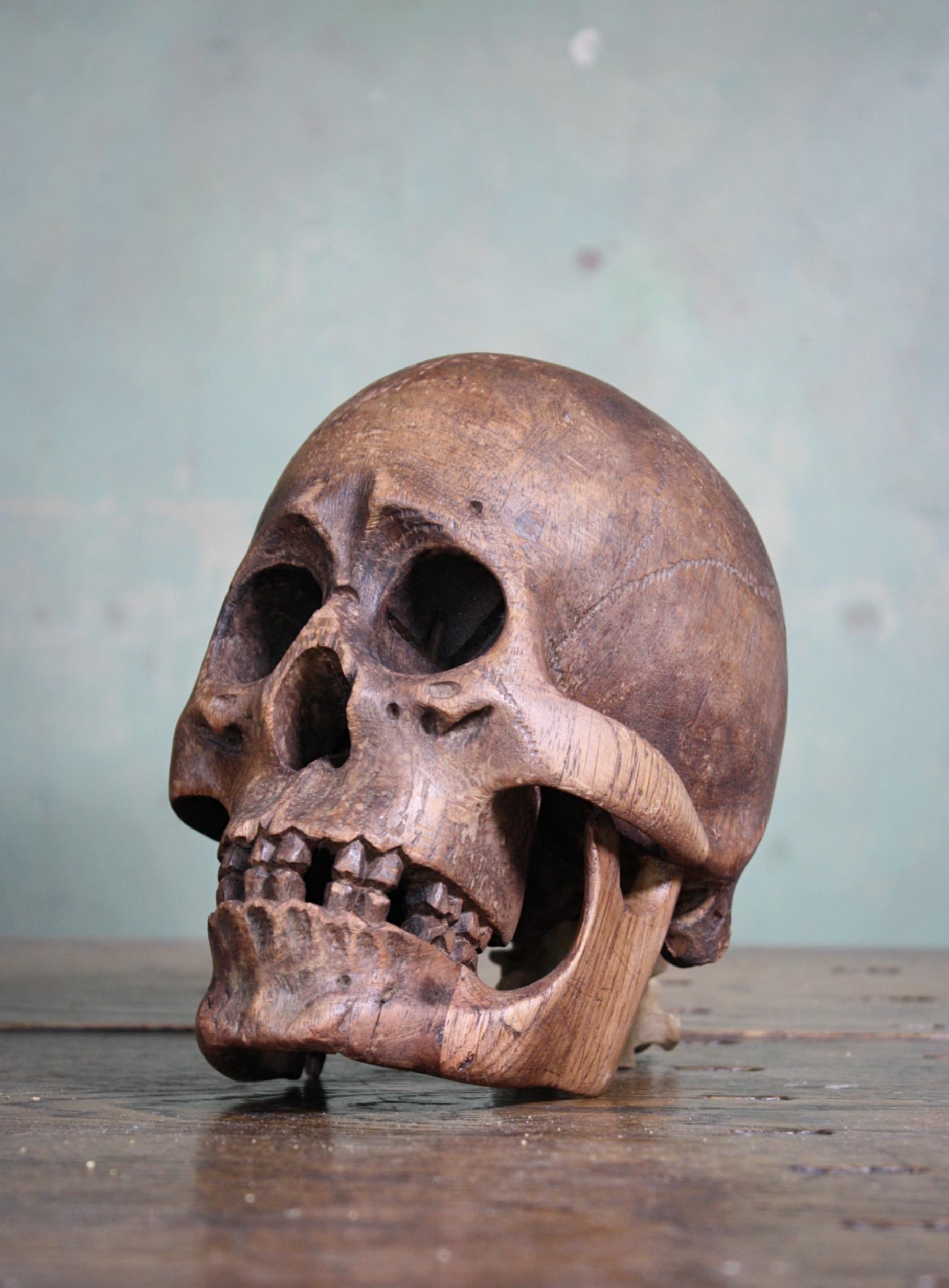 Late 19th-Early 20th Century Life-Size Treen Carved Memento Mori Human Skull 6
