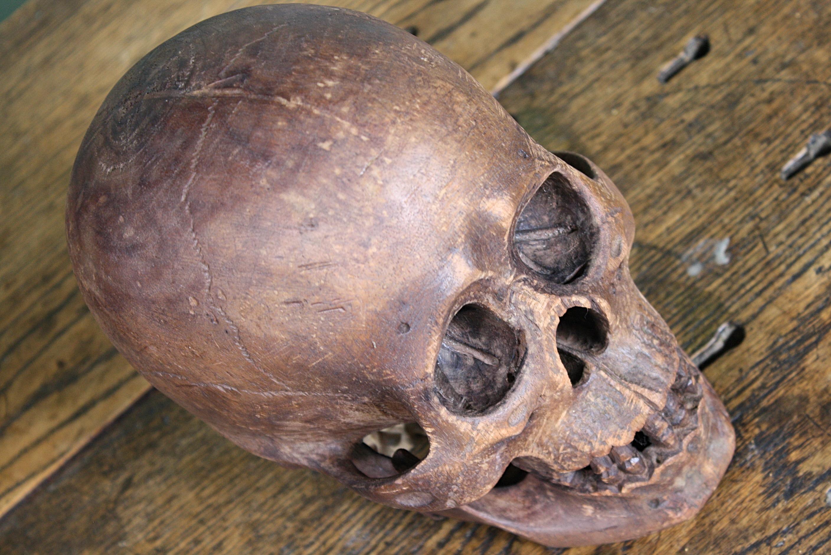 Late 19th-Early 20th Century Life-Size Treen Carved Memento Mori Human Skull 9