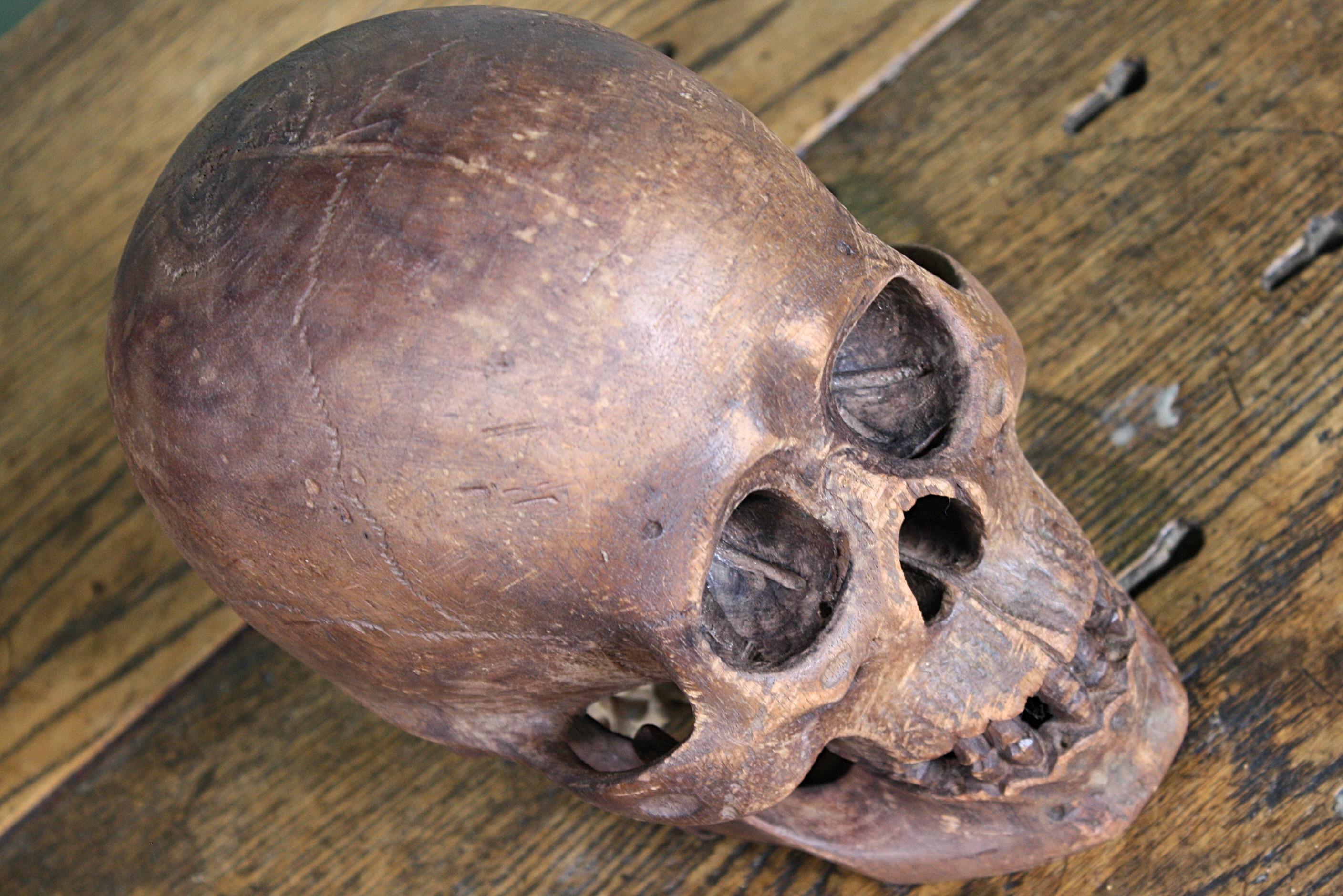 Late 19th-Early 20th Century Life-Size Treen Carved Memento Mori Human Skull 9
