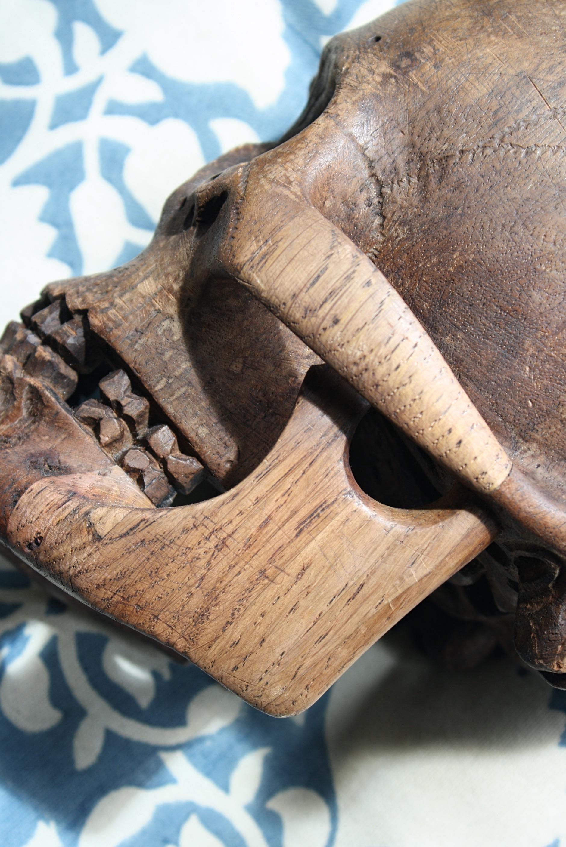 Late 19th-Early 20th Century Life-Size Treen Carved Memento Mori Human Skull 1