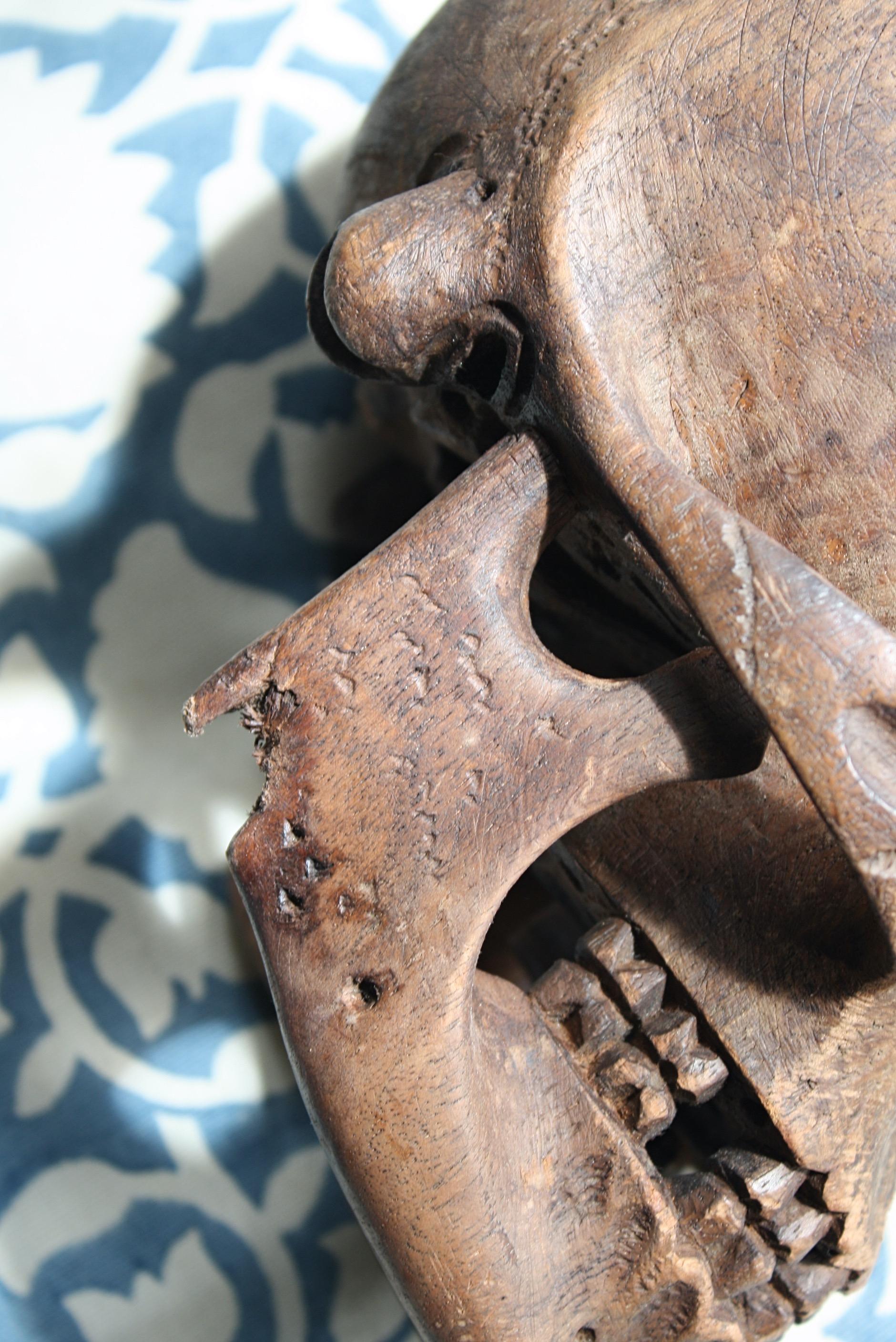 Late 19th-Early 20th Century Life-Size Treen Carved Memento Mori Human Skull 2