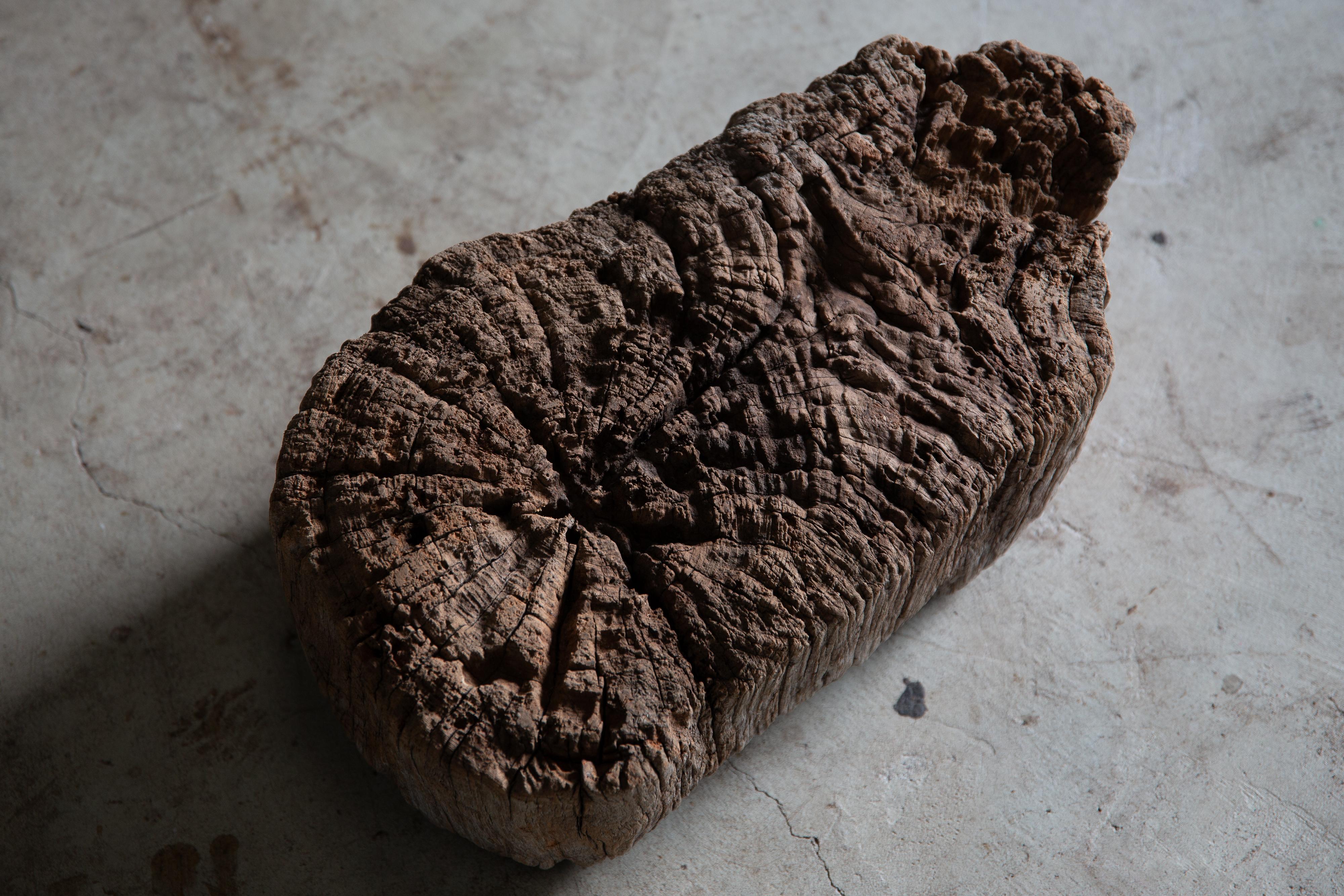 Tardo 19° Giapponese Antico espositore in legno wabi sabi pezzo d'arte decorativo Dai in vendita 11