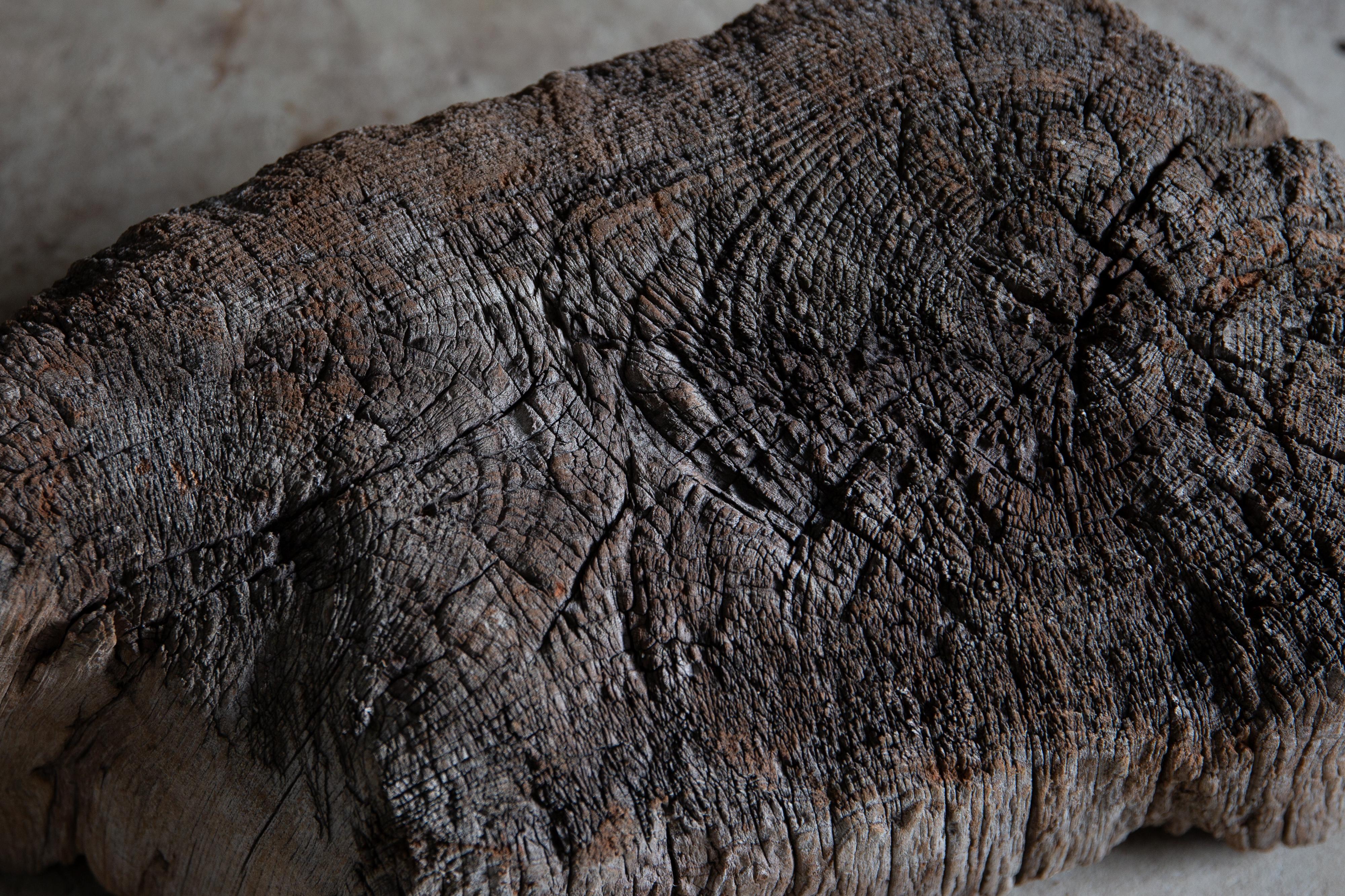 Tardo 19° Giapponese Antico espositore in legno wabi sabi pezzo d'arte decorativo Dai in vendita 13