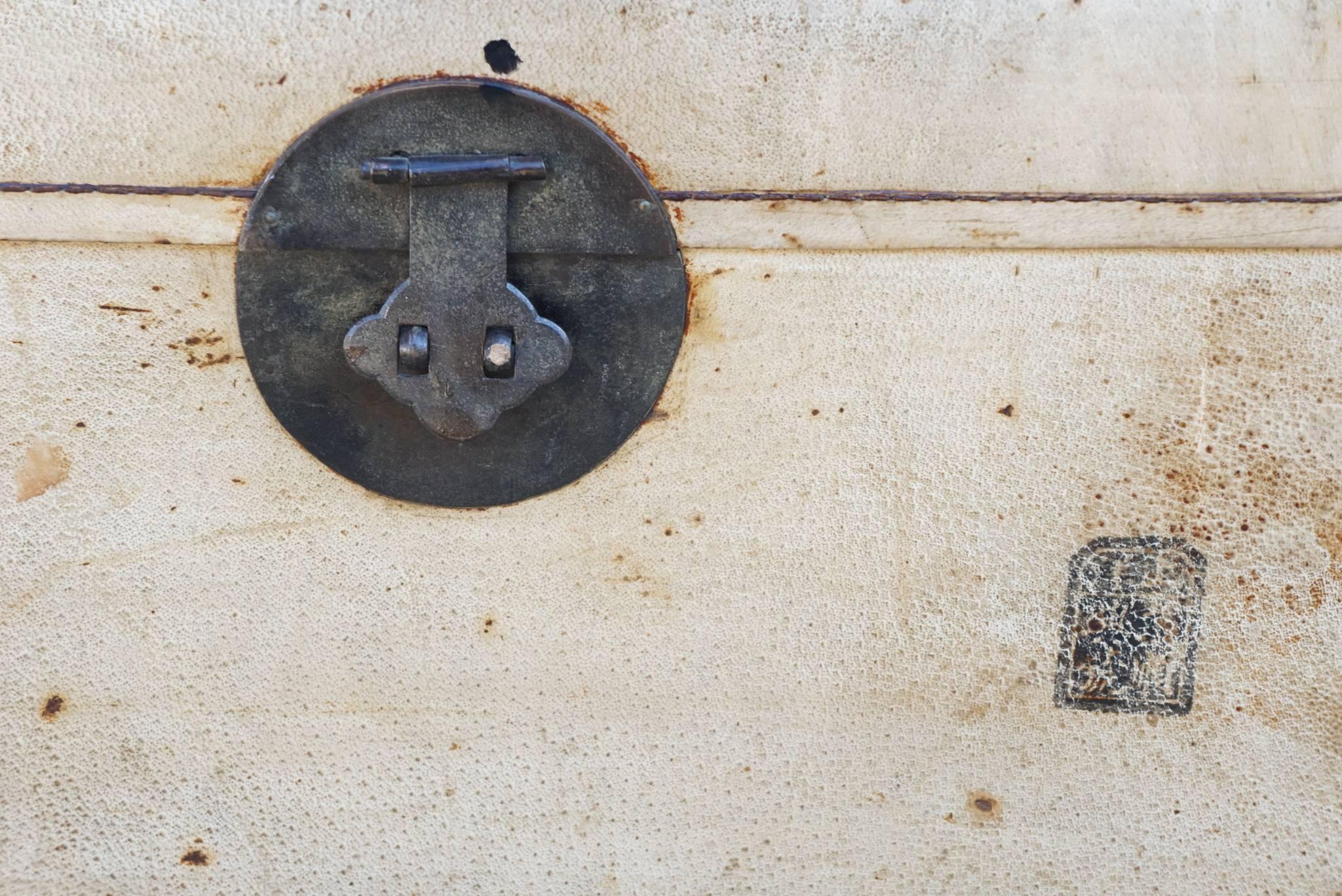 Late 19th or Early 20th Century Chinese Sandalwood and Pigskin Trunk 1