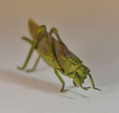 Late 19th Vienna Bronze Representing "Locust"