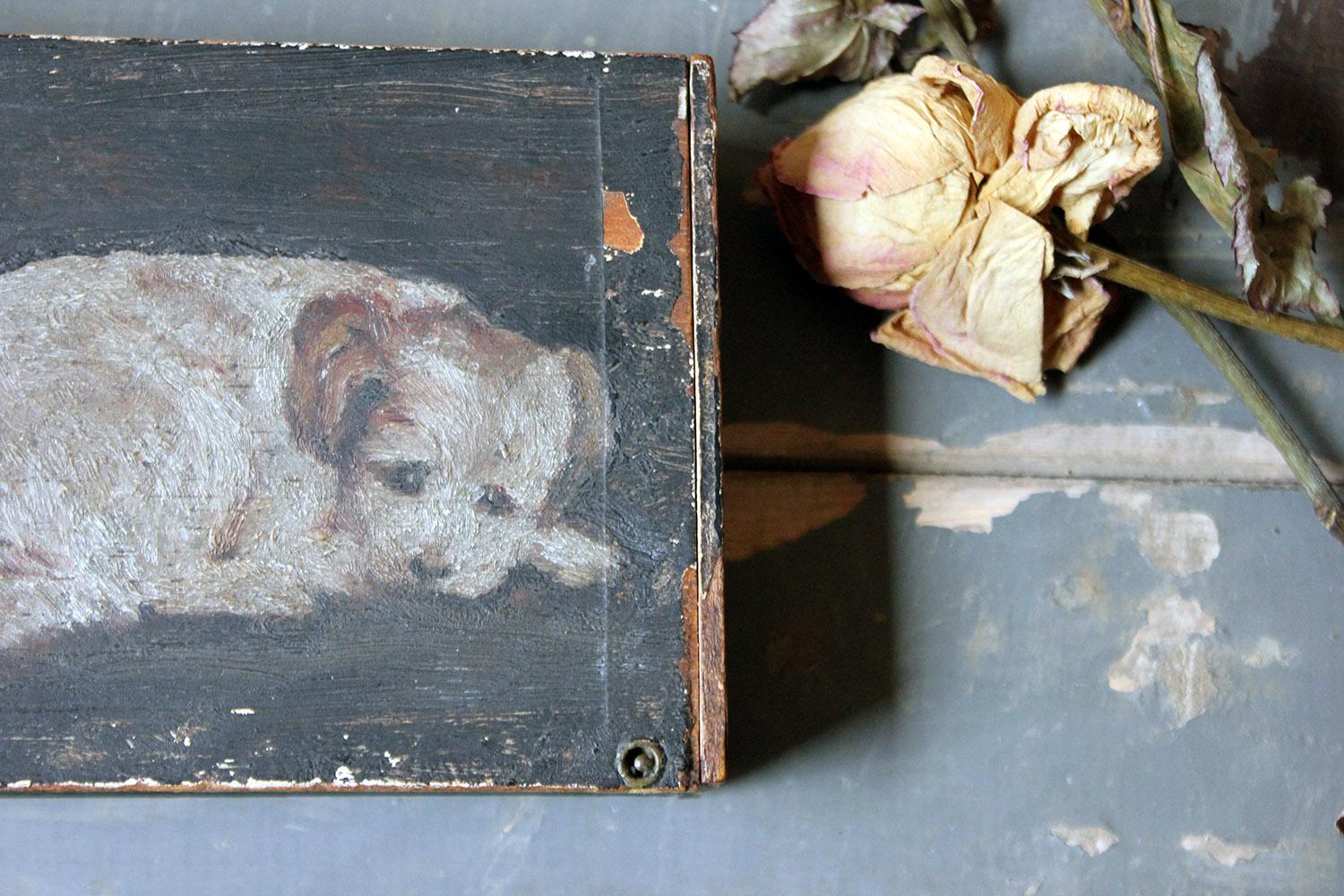 Late 19th Century Folk Art Pine Cigar Box Painted with Study of a Border Terrier 4