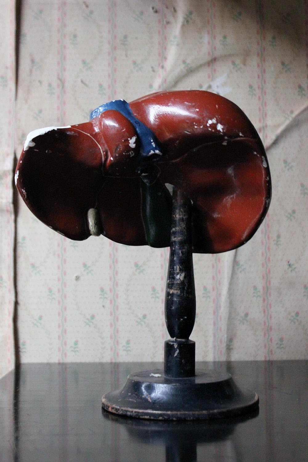 Late 19th Century German Anatomical Model of a Liver on Stand, circa 1890 For Sale 3
