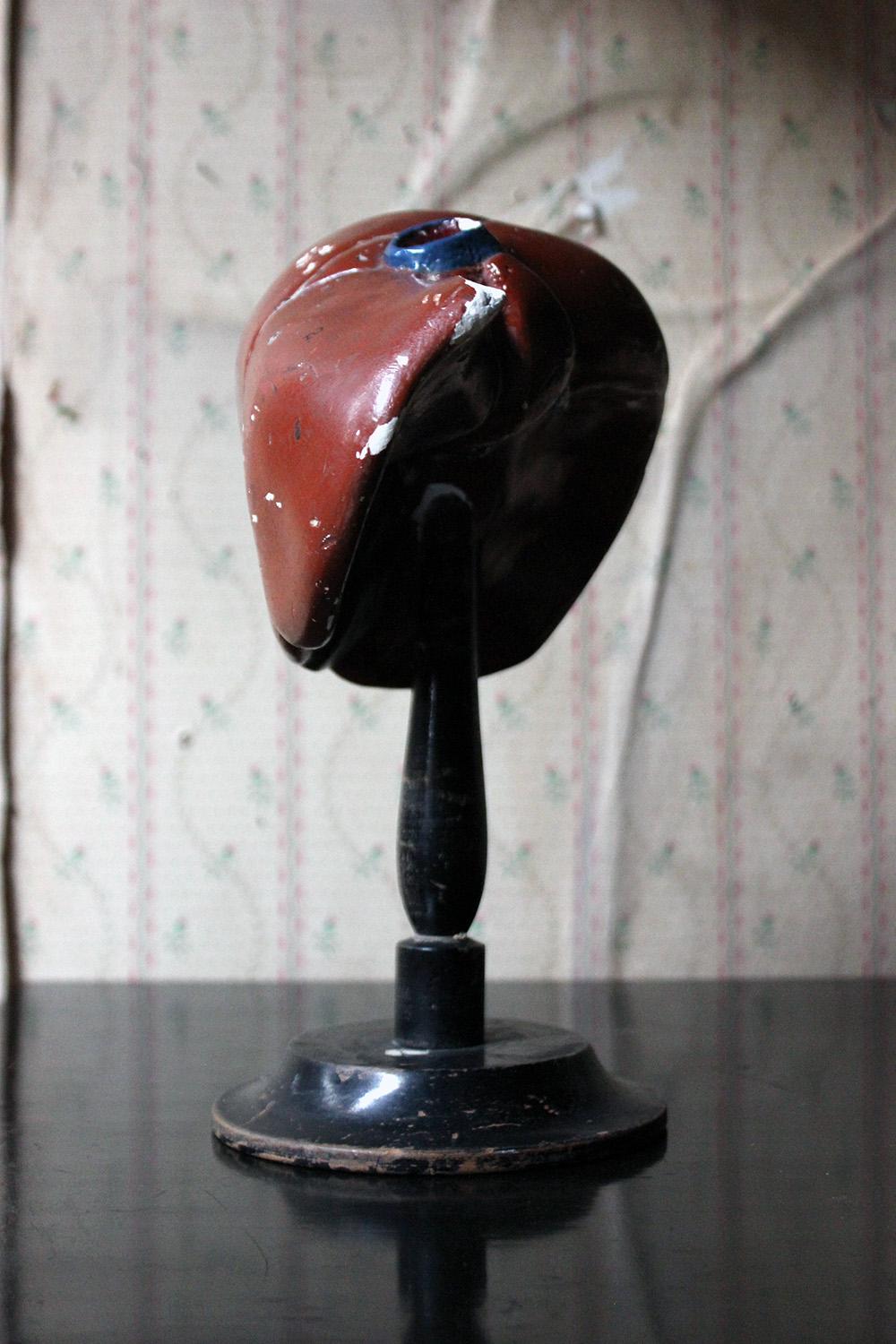 Late 19th Century German Anatomical Model of a Liver on Stand, circa 1890 For Sale 6