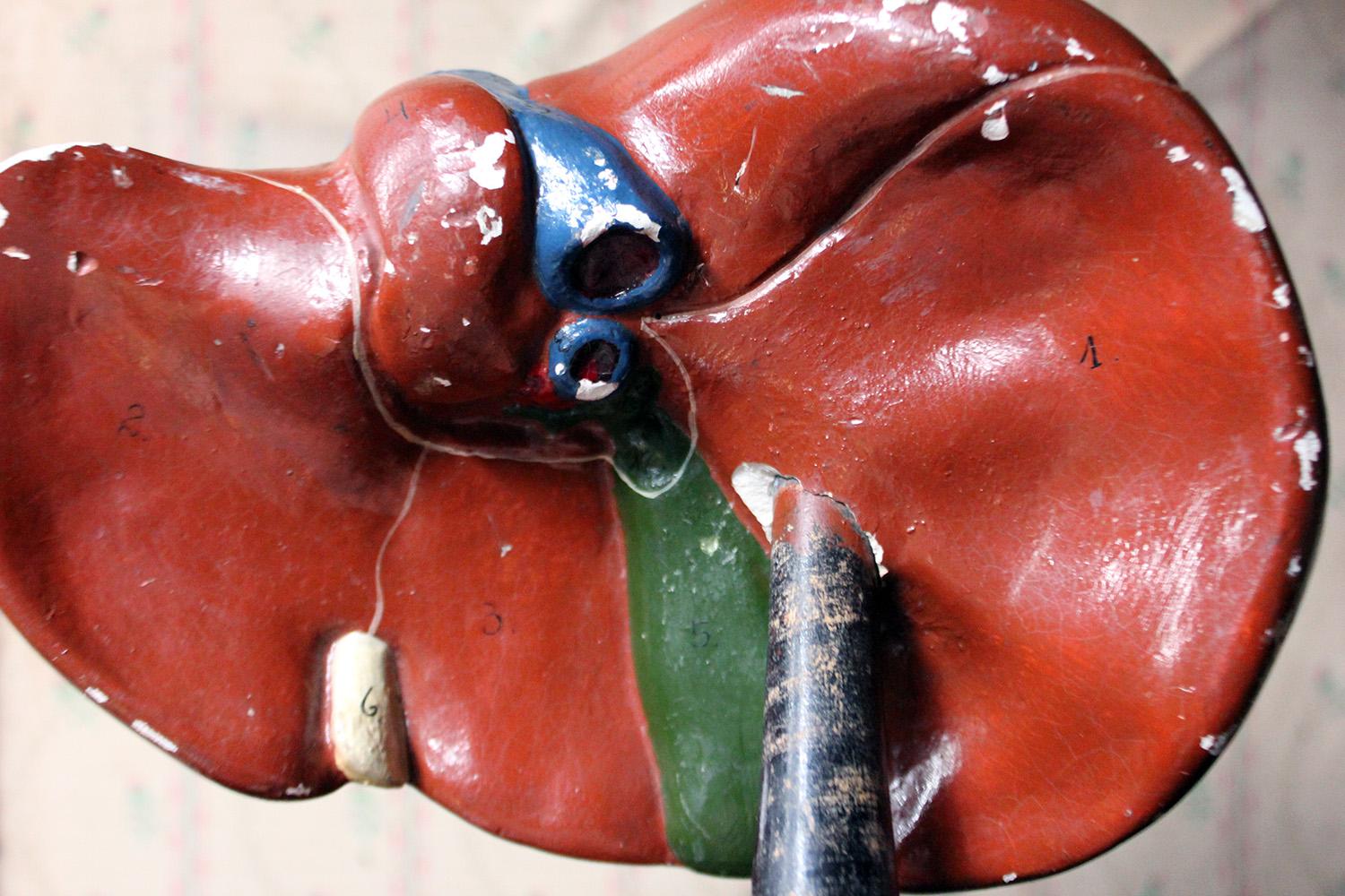 Hand-Painted Late 19th Century German Anatomical Model of a Liver on Stand, circa 1890 For Sale
