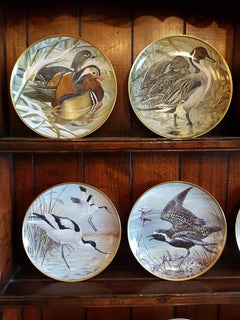 Late 20th Century 12 Porcelain Plates "Water Birds of the World" Basil Ede