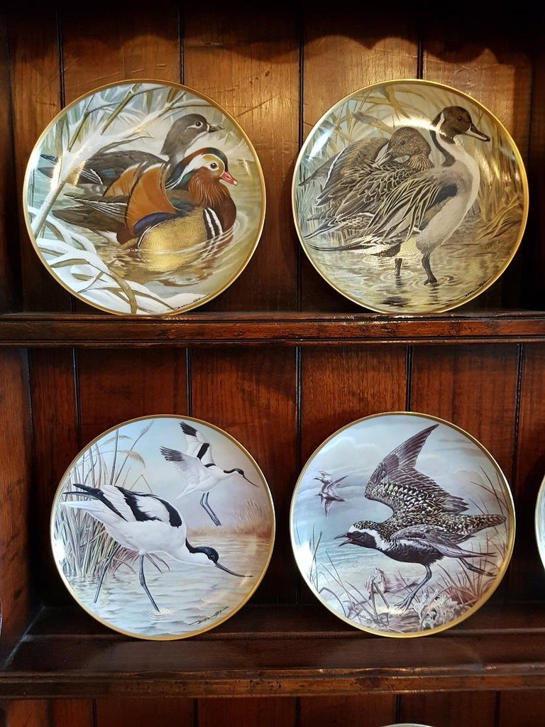 Late 20th Century 12 Porcelain Plates "Water Birds of the World" Basil Ede at 1stDibs