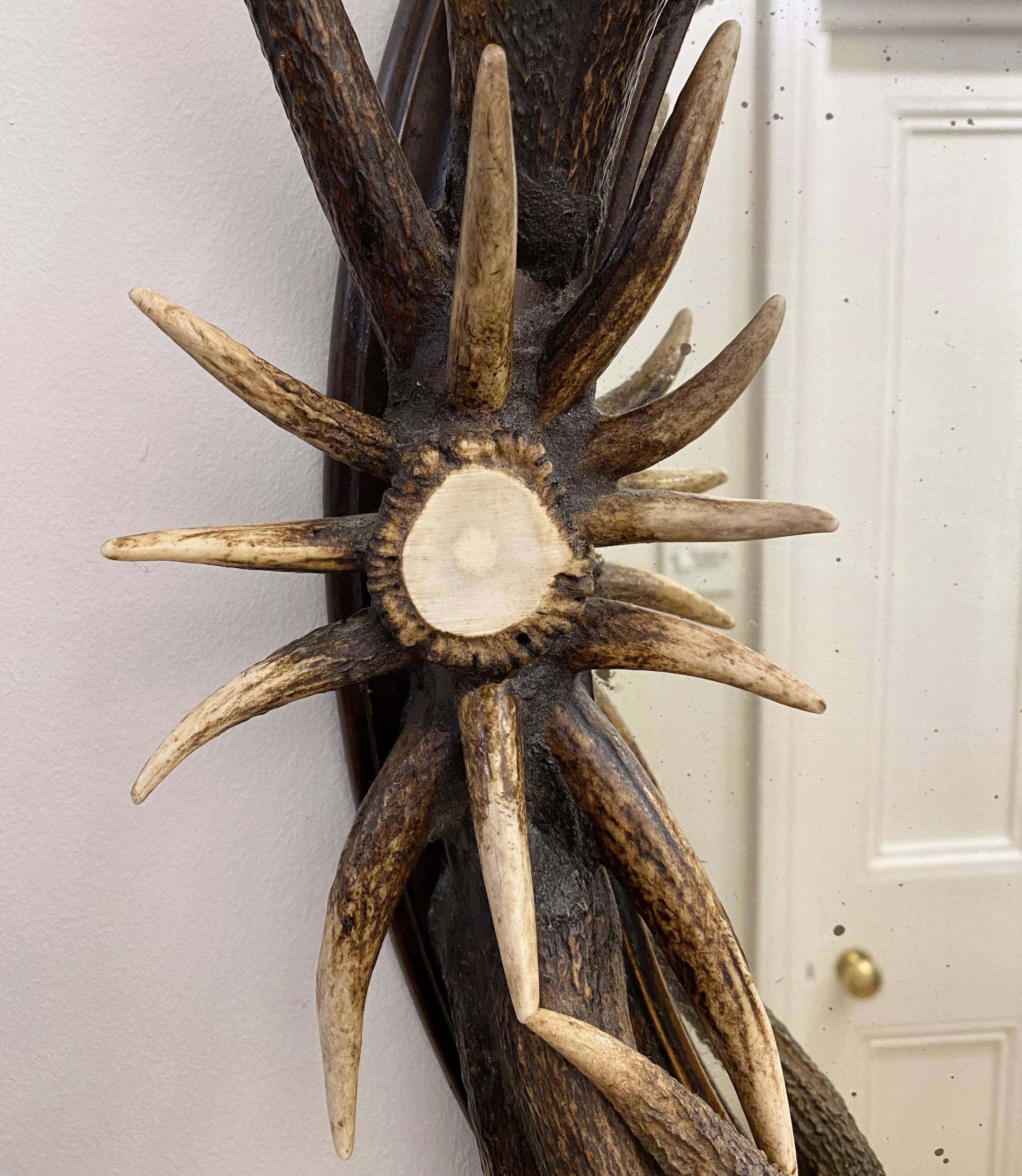 antler mirror