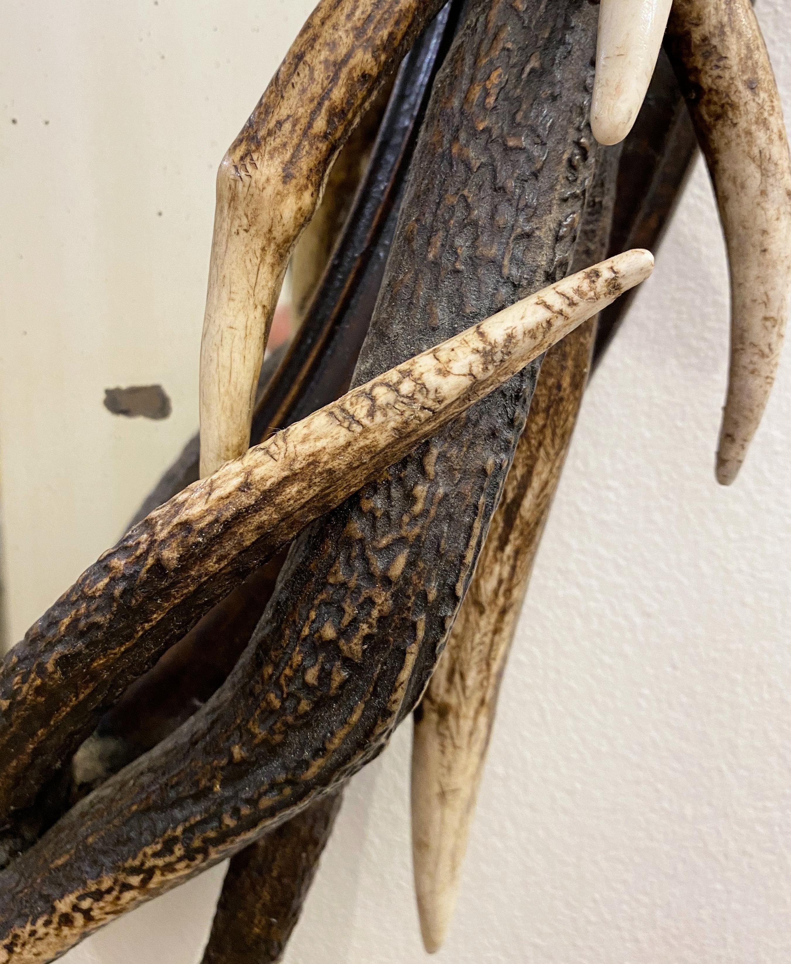 Late 20th Century Antler Wall Mirror with Antique Glass 2