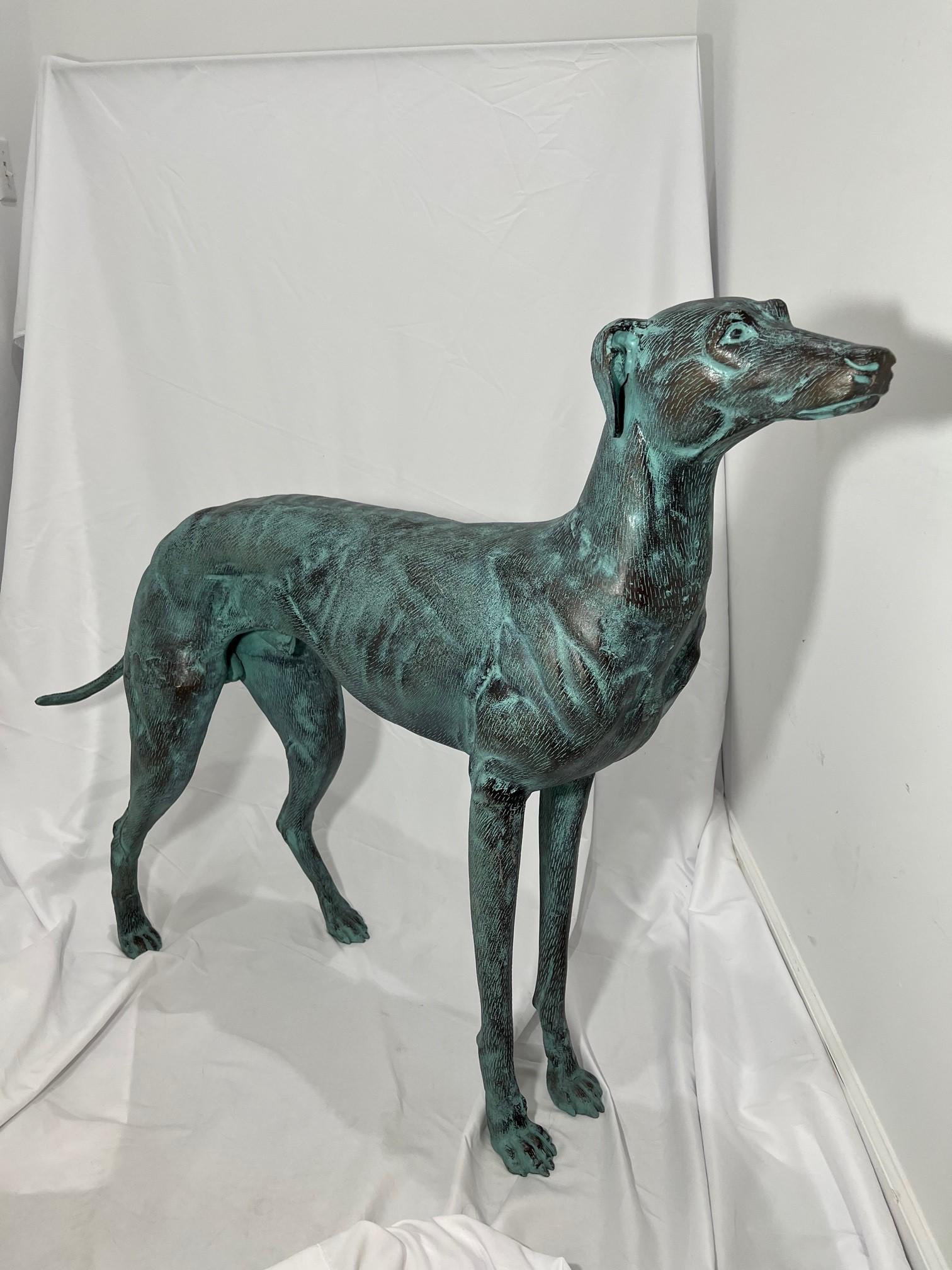 Gorgeous Paar elegante Bronze Windhund Hund Statuen Lebensgröße in sehr gutem Zustand. Sie haben eine schöne bläulich-grüne Oberfläche und würden in jedem Haus oder Garten spektakulär aussehen. Ich habe zwei identische Windhund-Statuen zur