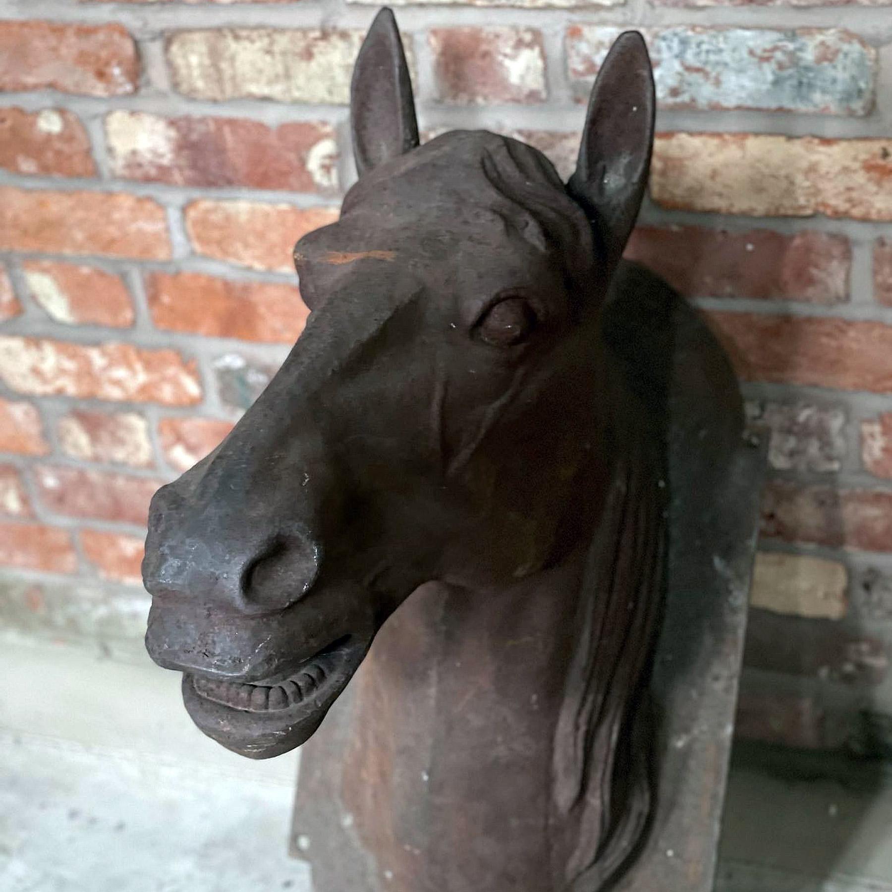 horse head mount