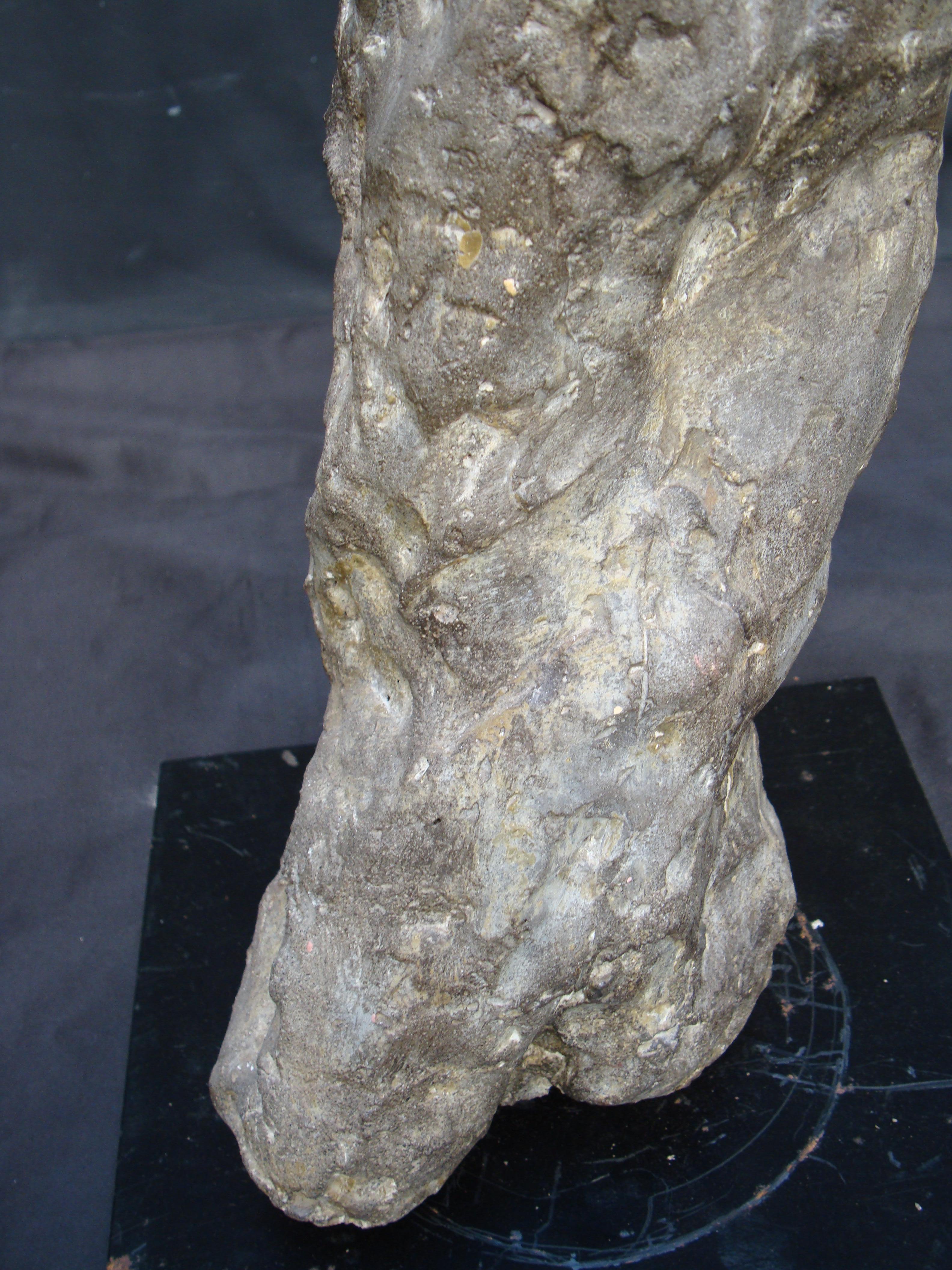 Hand-Crafted Late 20th Century, Composite Cements Materials Male Torso on Iron Base For Sale
