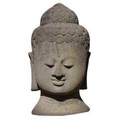 Grande testa di Buddha in pietra lavica della fine del XX secolo proveniente dall'Indonesia