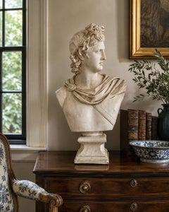 Late 20th Century Large Plaster Bust of Apollo Belvedere