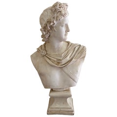 Late 20th Century Large Plaster Bust of Apollo Belvedere
