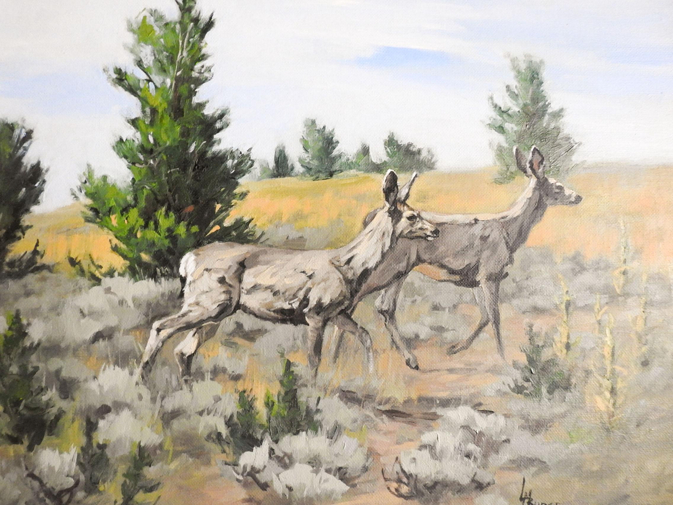 American Late 20th Century Mule Deer Painting by Linda Budge For Sale