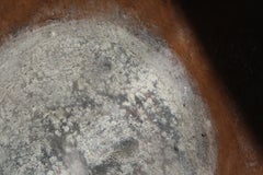 Late 20th Century Susan Jayne Hocking Pigment Painting Portrait, 1997