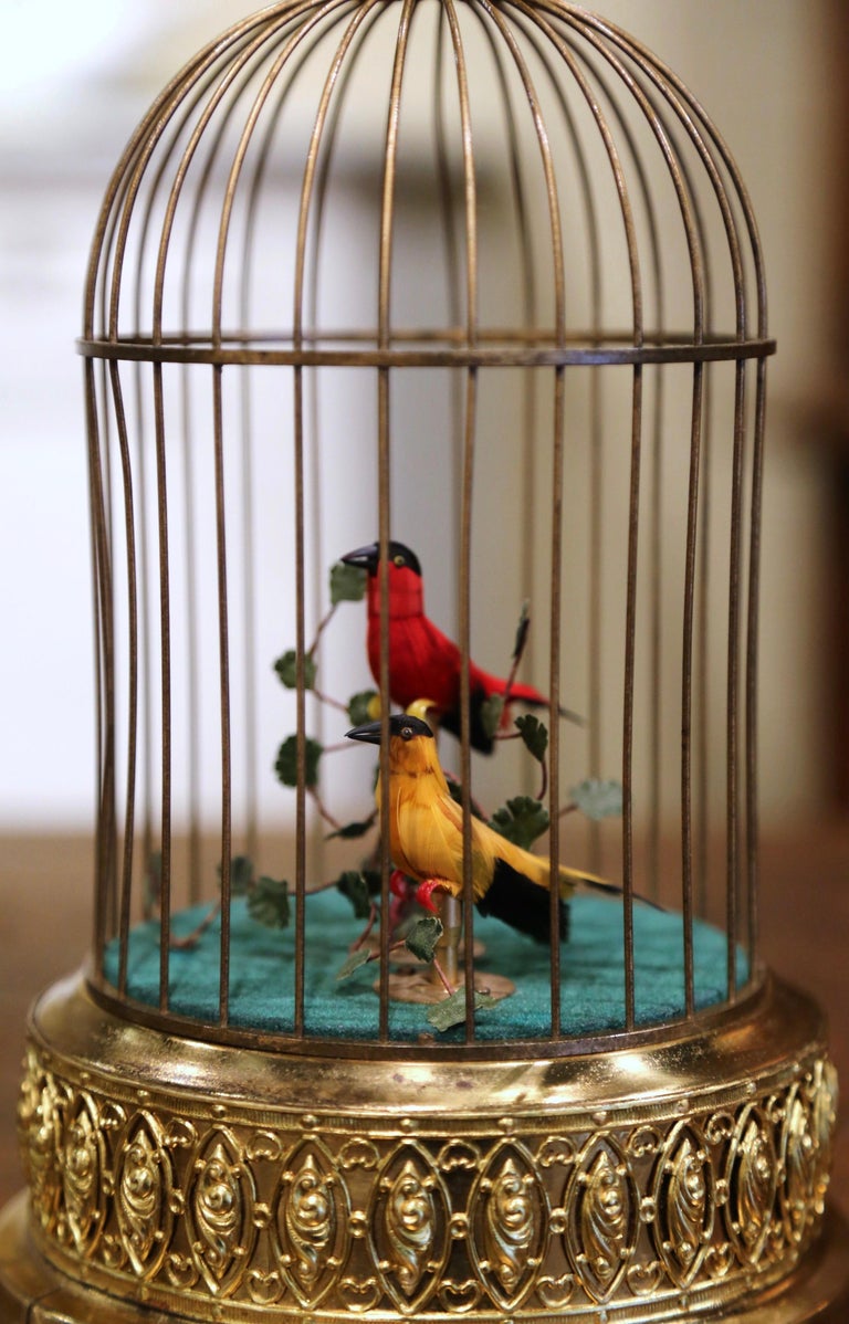 Bring life to your house with this colorful vintage birdcage. Attributed to Reuge Music in Switzerland, and built circa 1980, the cage is cylindrical in shape with repousse decor, and topped with a rounded dome ending with a ring for easy hanging.