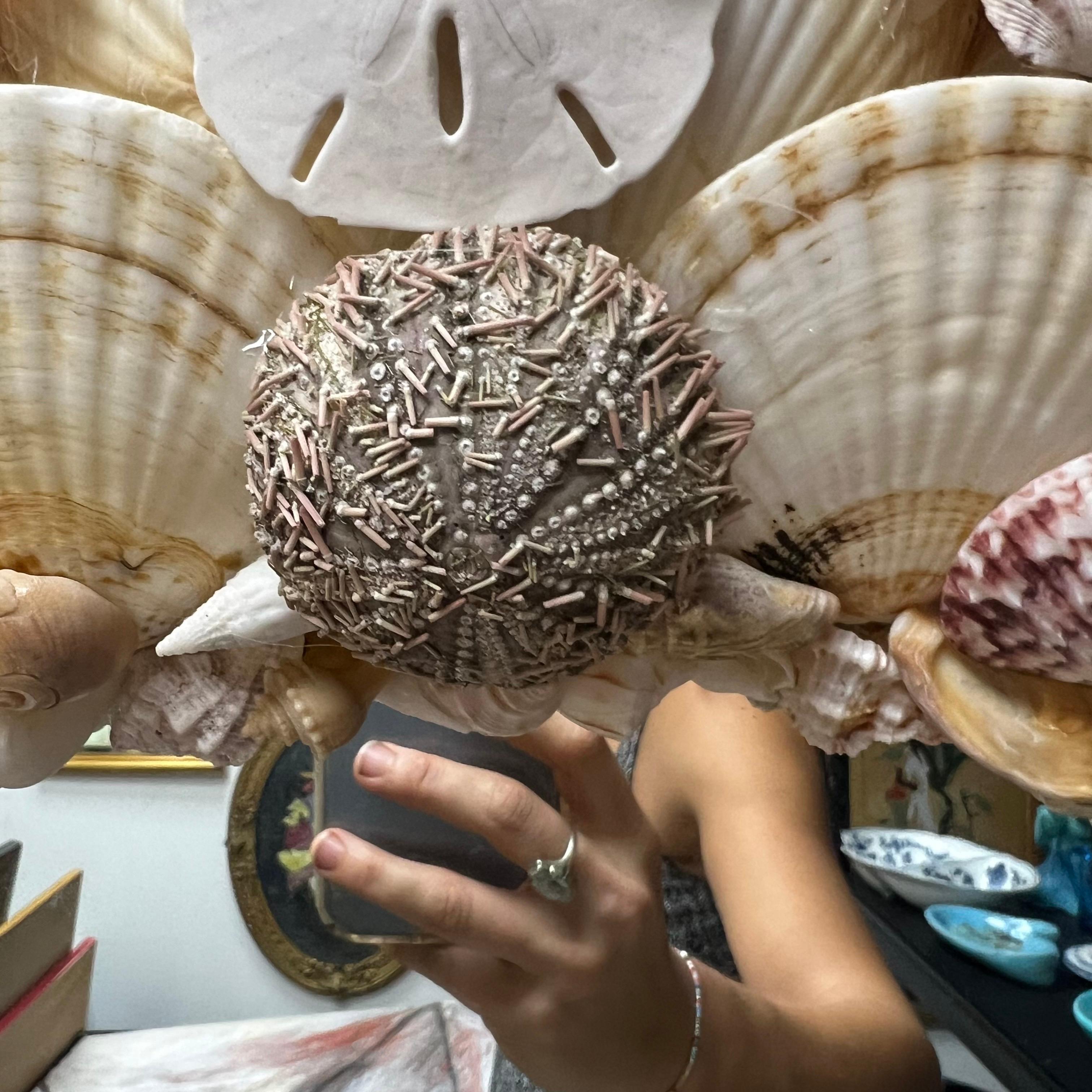 Late 20th Century Tony Douquette Style Sea Shell Encrusted Round Mirror 10