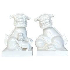 Cani Foo in ceramica smaltata asiatica della fine del XX secolo - una coppia