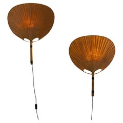 Wall Lights and Sconces